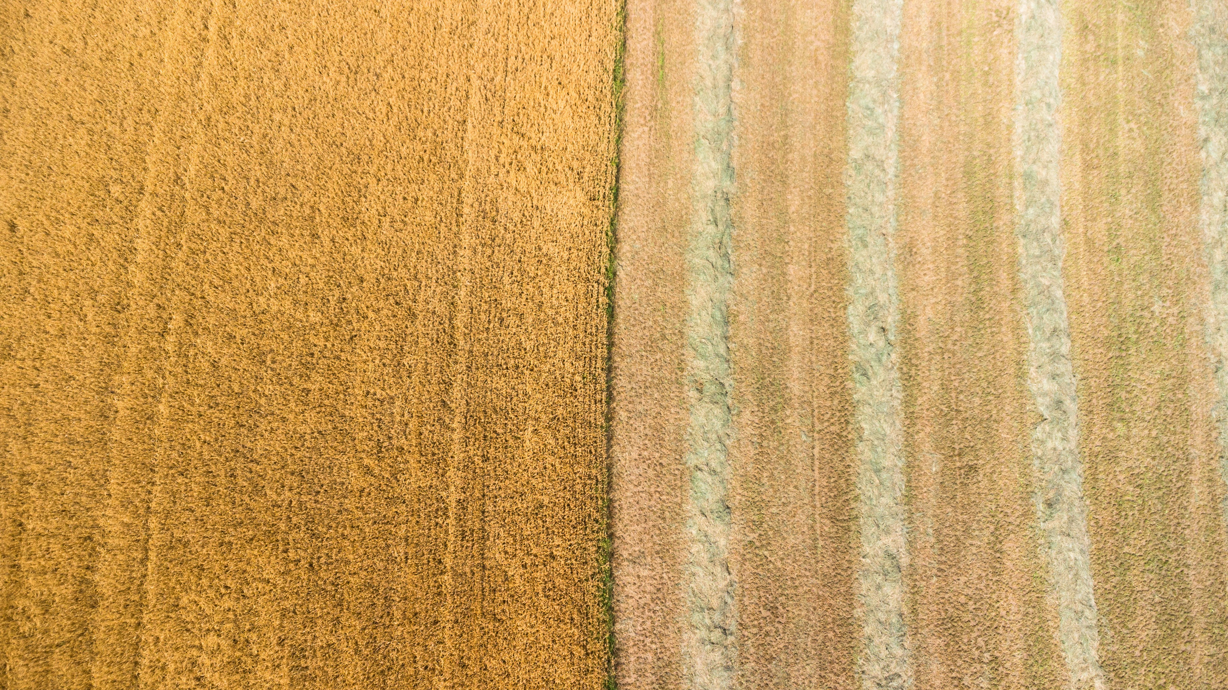 Photo by lucasgallone