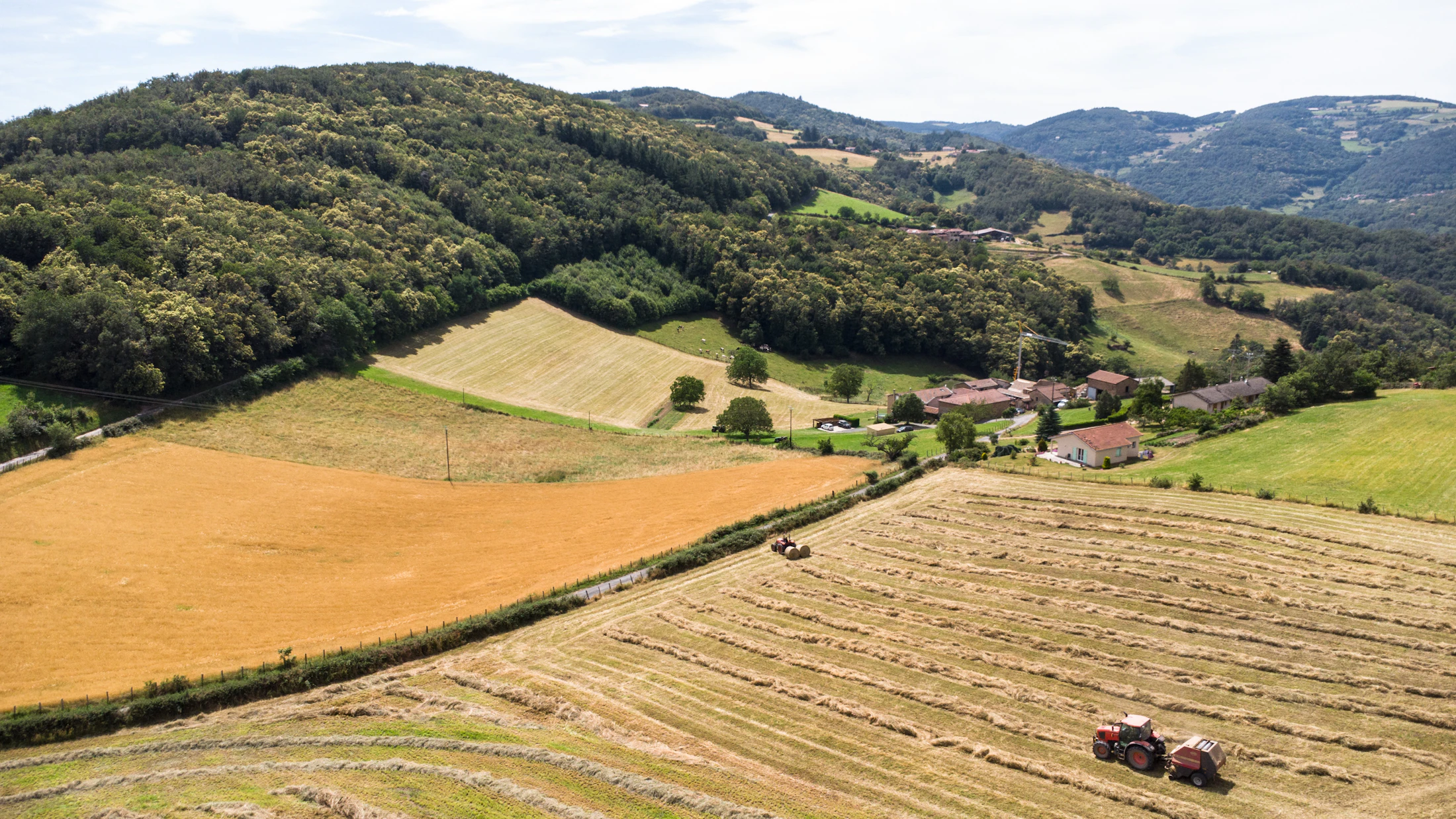 Aerial view of agricultural land — the operator's dashboard view, parcels read as a live dataset.