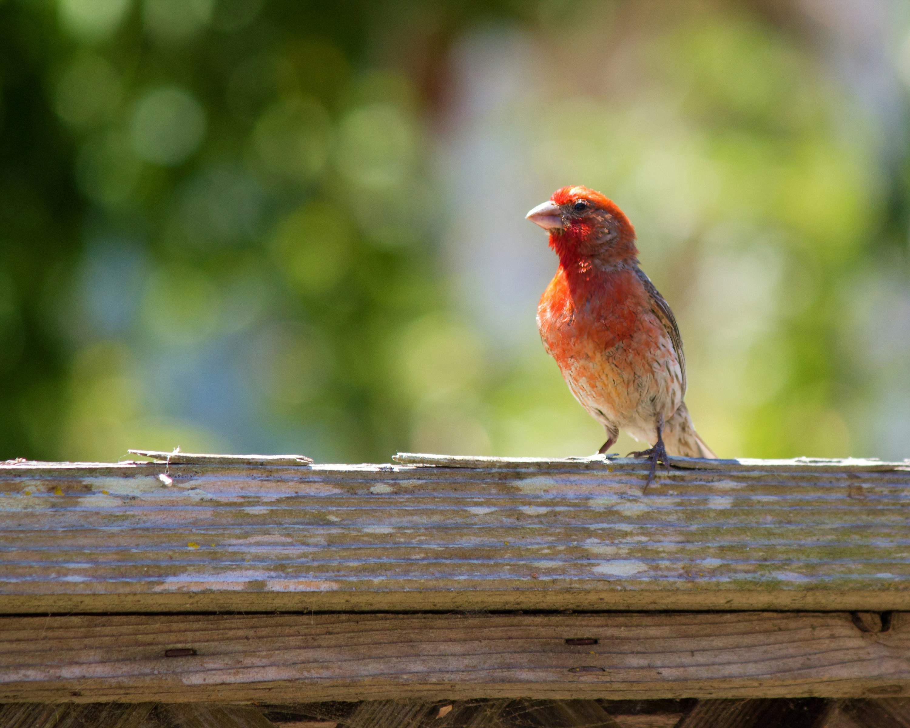 Photo by imwilliamwilliams