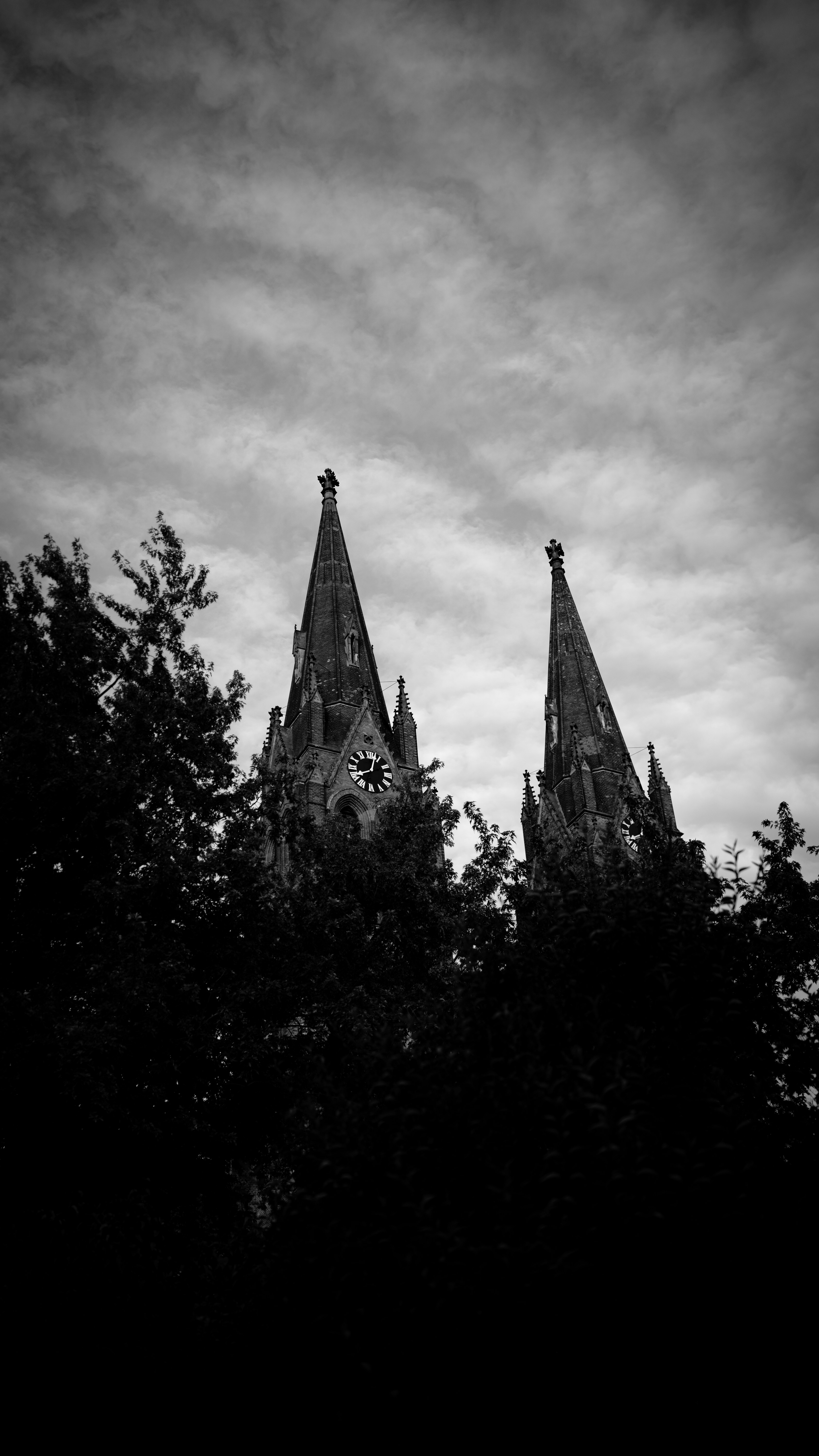 Photo by branislavrodman