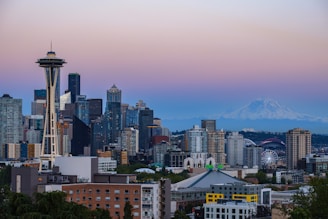 A view of the seattle skyline at dusk