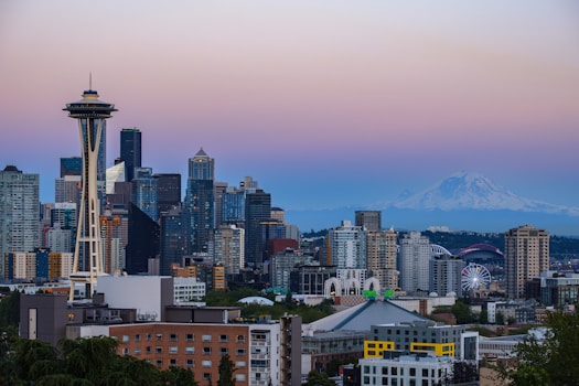 A view of the seattle skyline at dusk