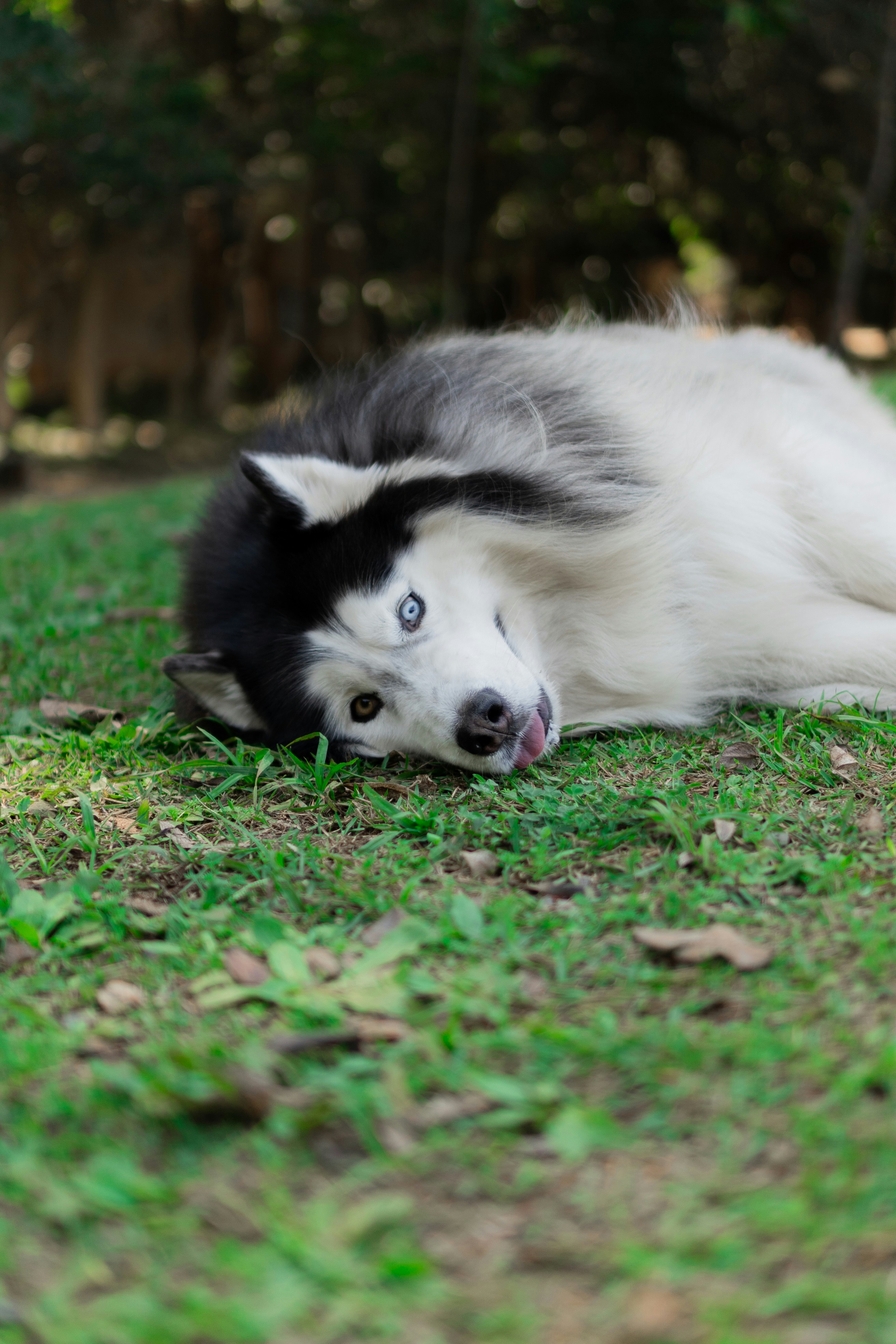 Photo by wolfart32