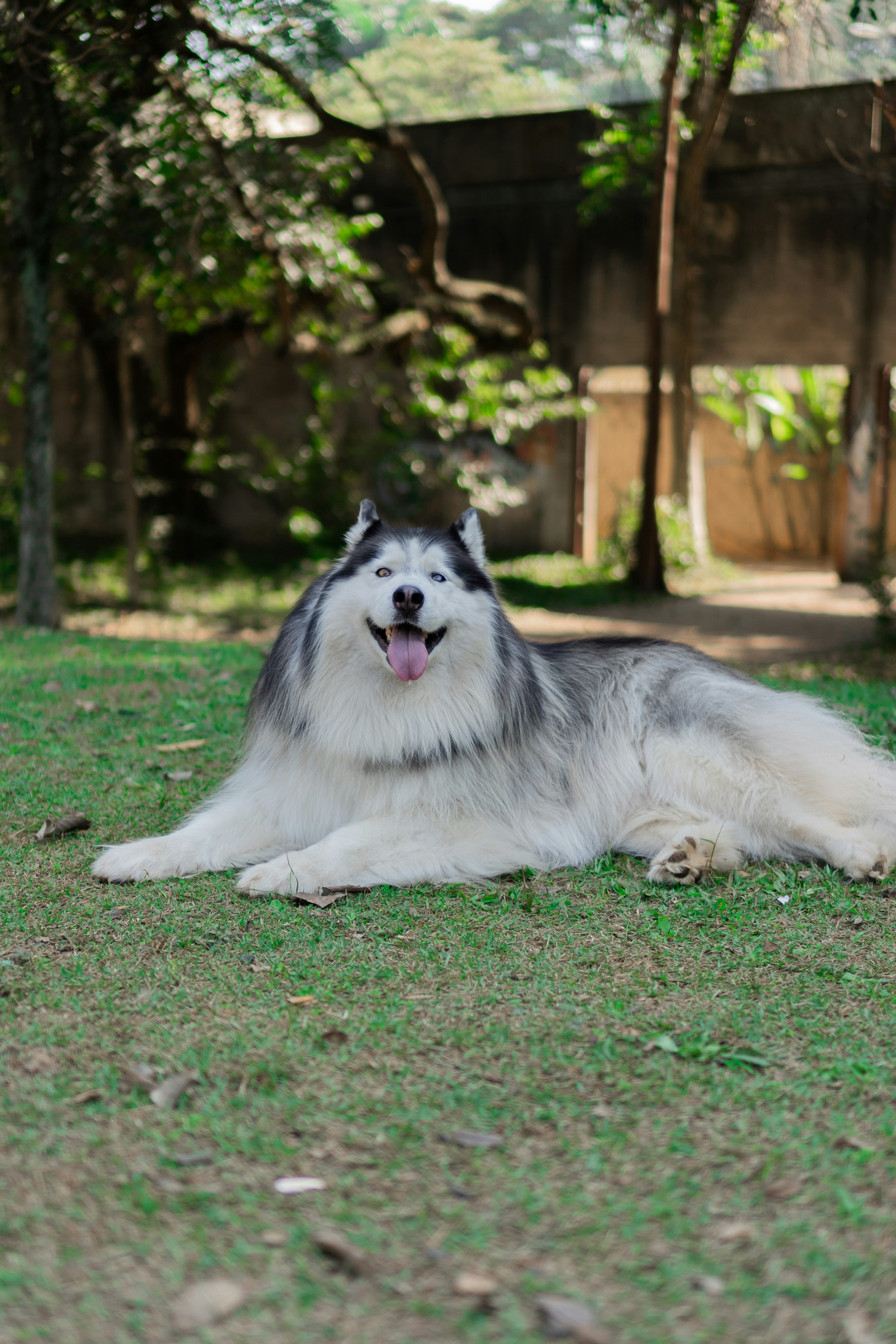 Photo by wolfart32