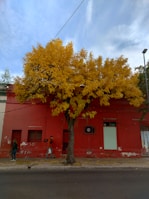A red building with a yellow tree in front of it