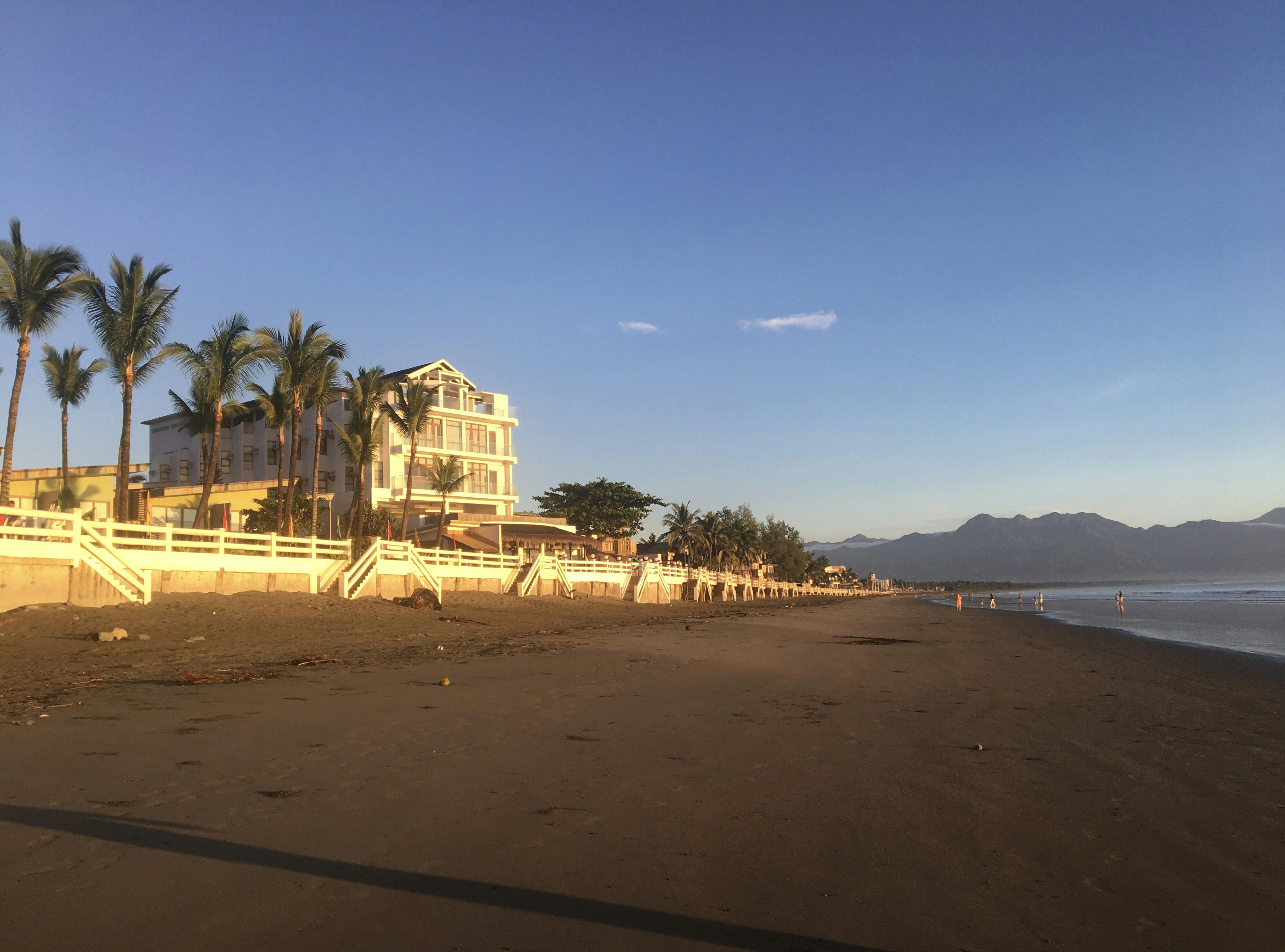 A sandy beach with palm trees and a house