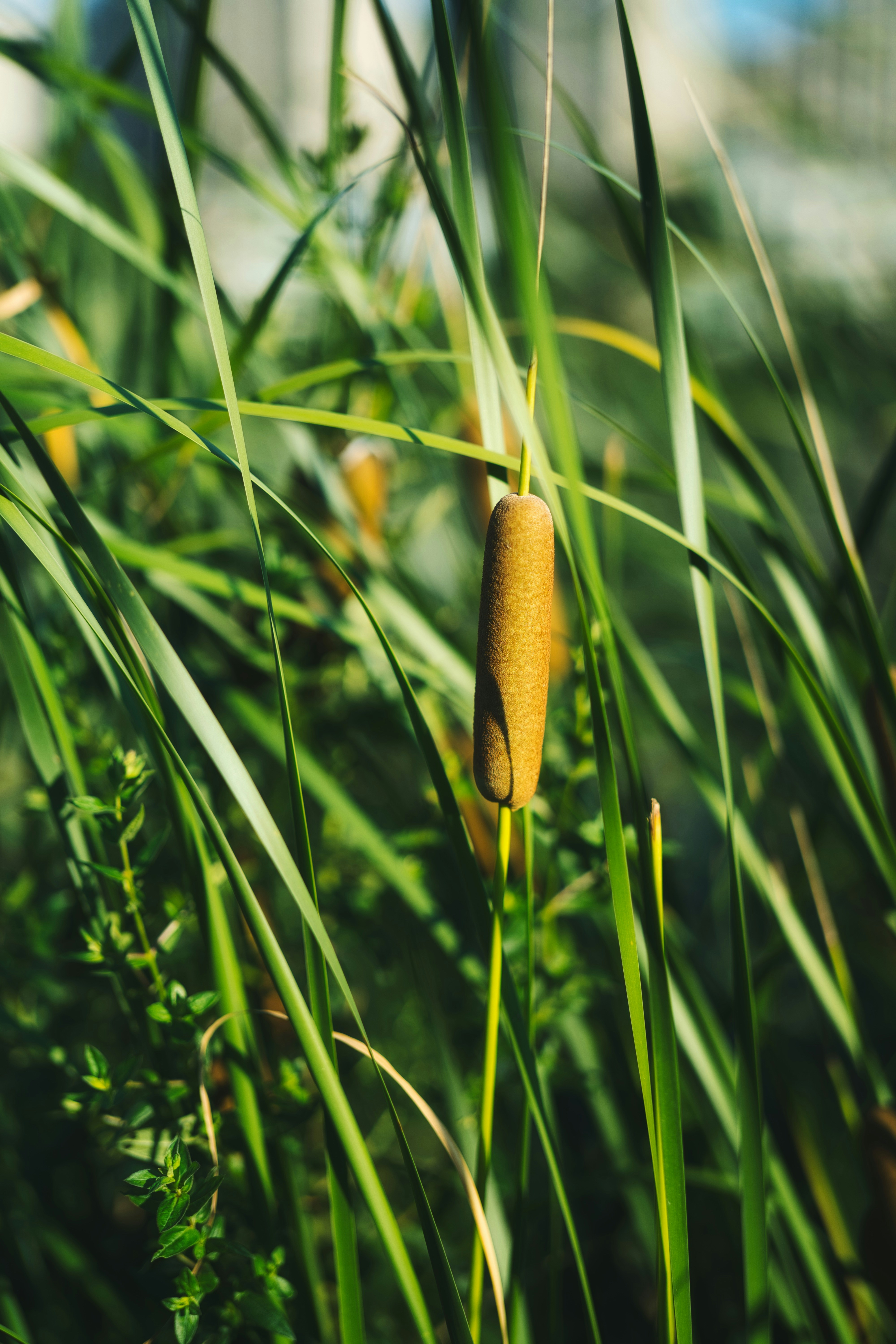 Photo by xiexianghua