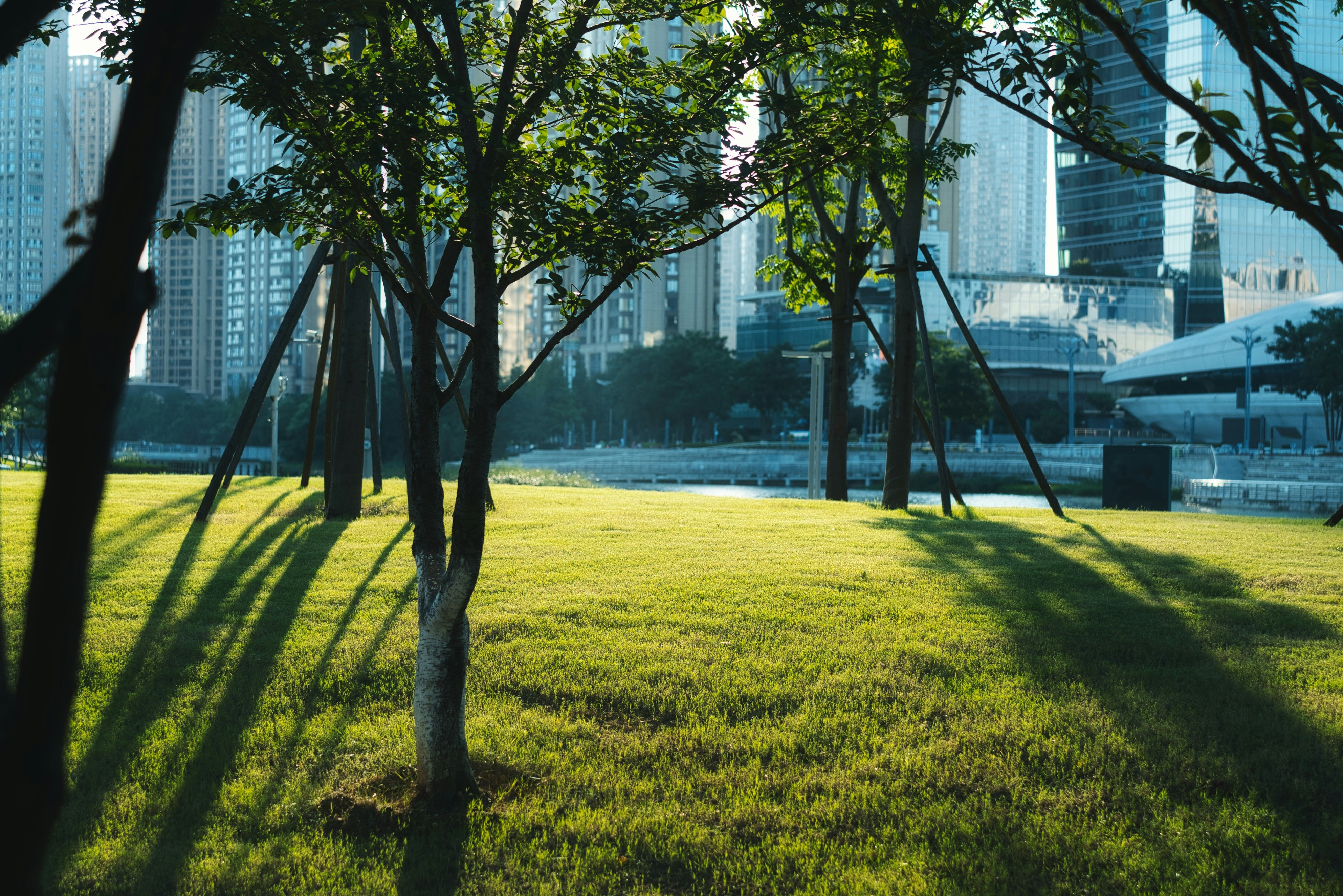 Photo by xiexianghua