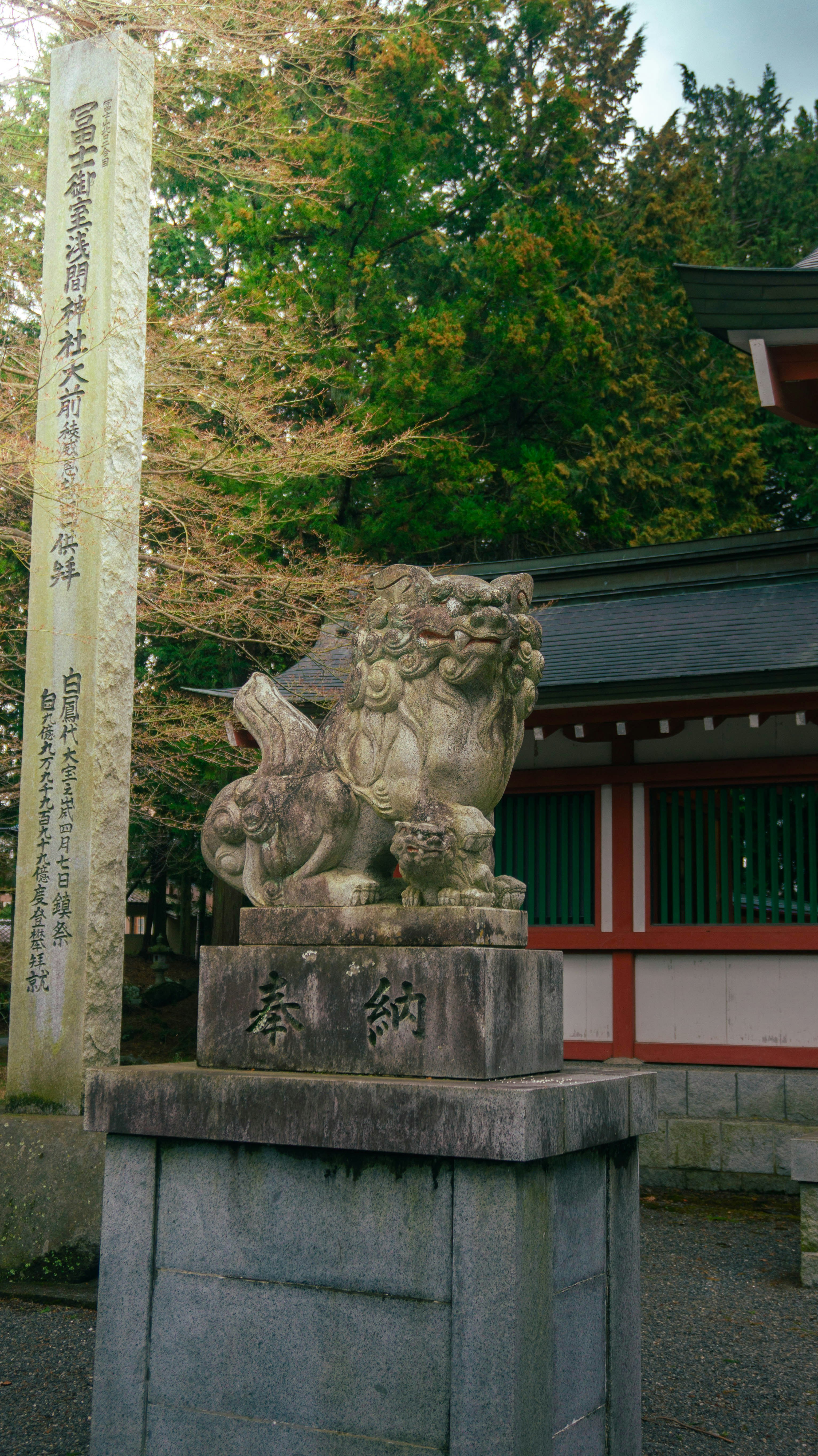 Photo by michaelstevanus