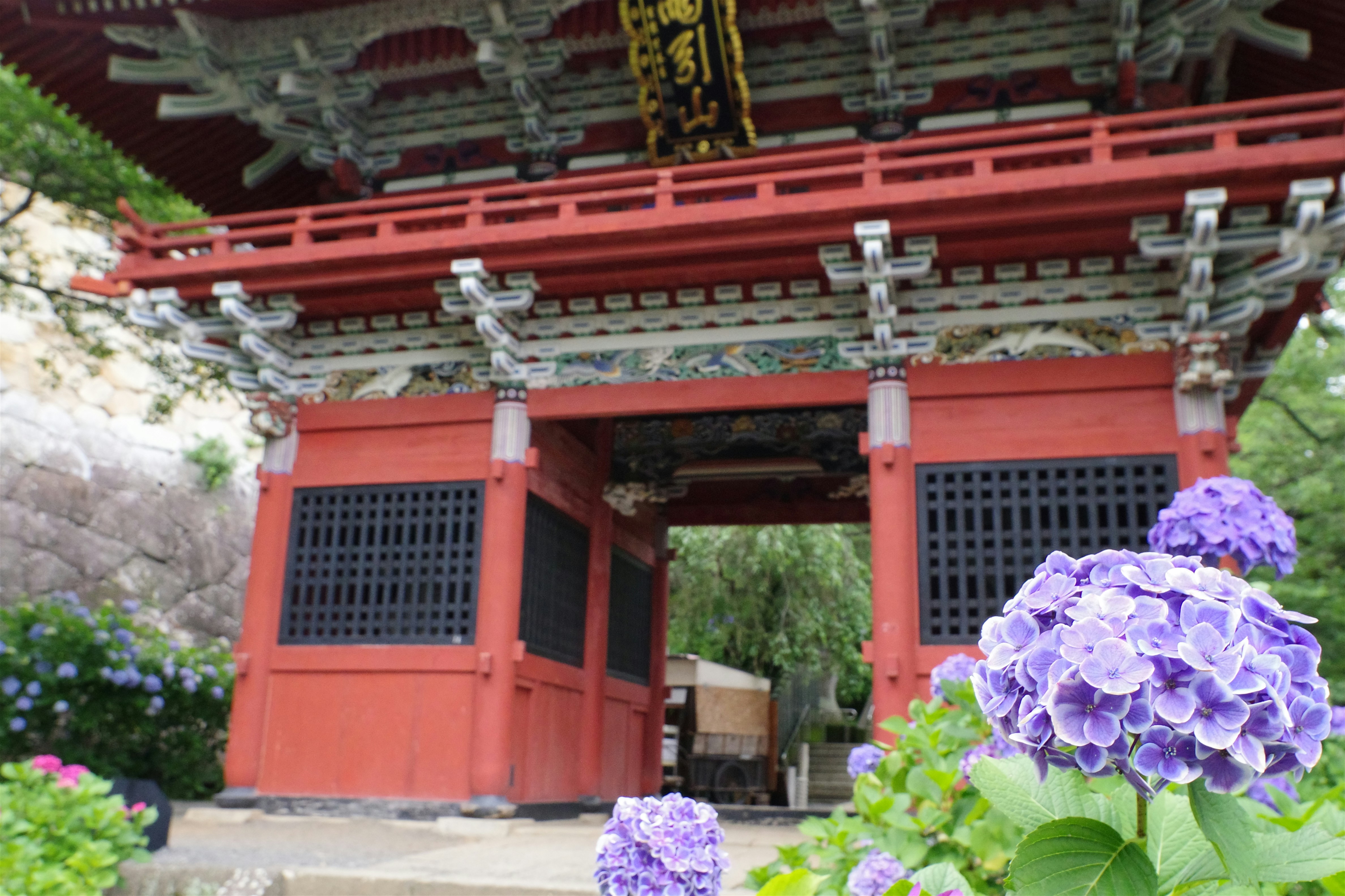 😱震驚！90%的人都搞錯的居家清潔真相，你還在花冤枉錢？！