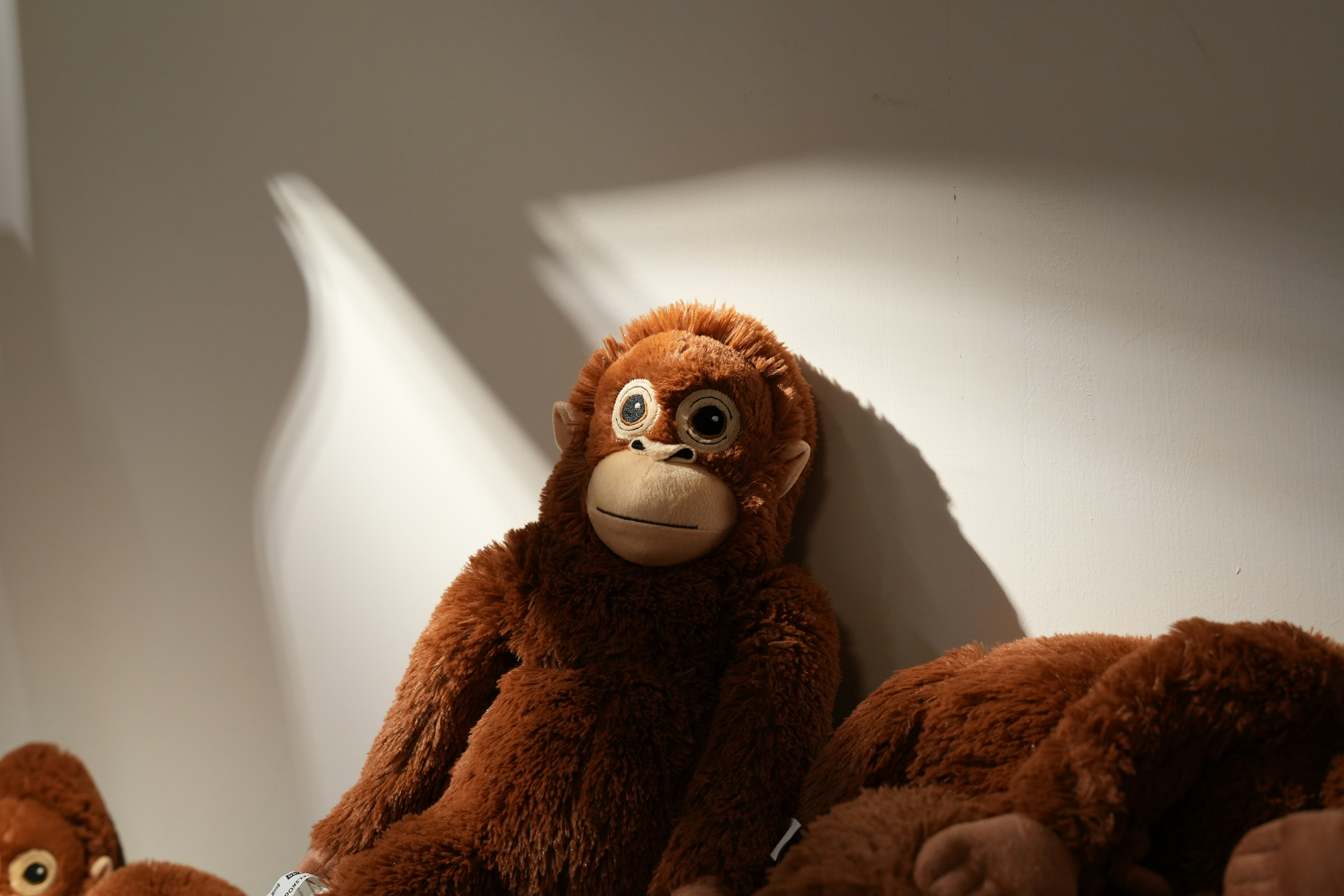 Photo by jingchenglee77