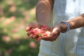 A person holding a bunch of fruit in their hands