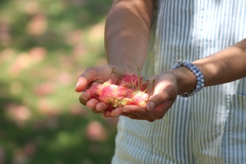 A person holding a bunch of fruit in their hands