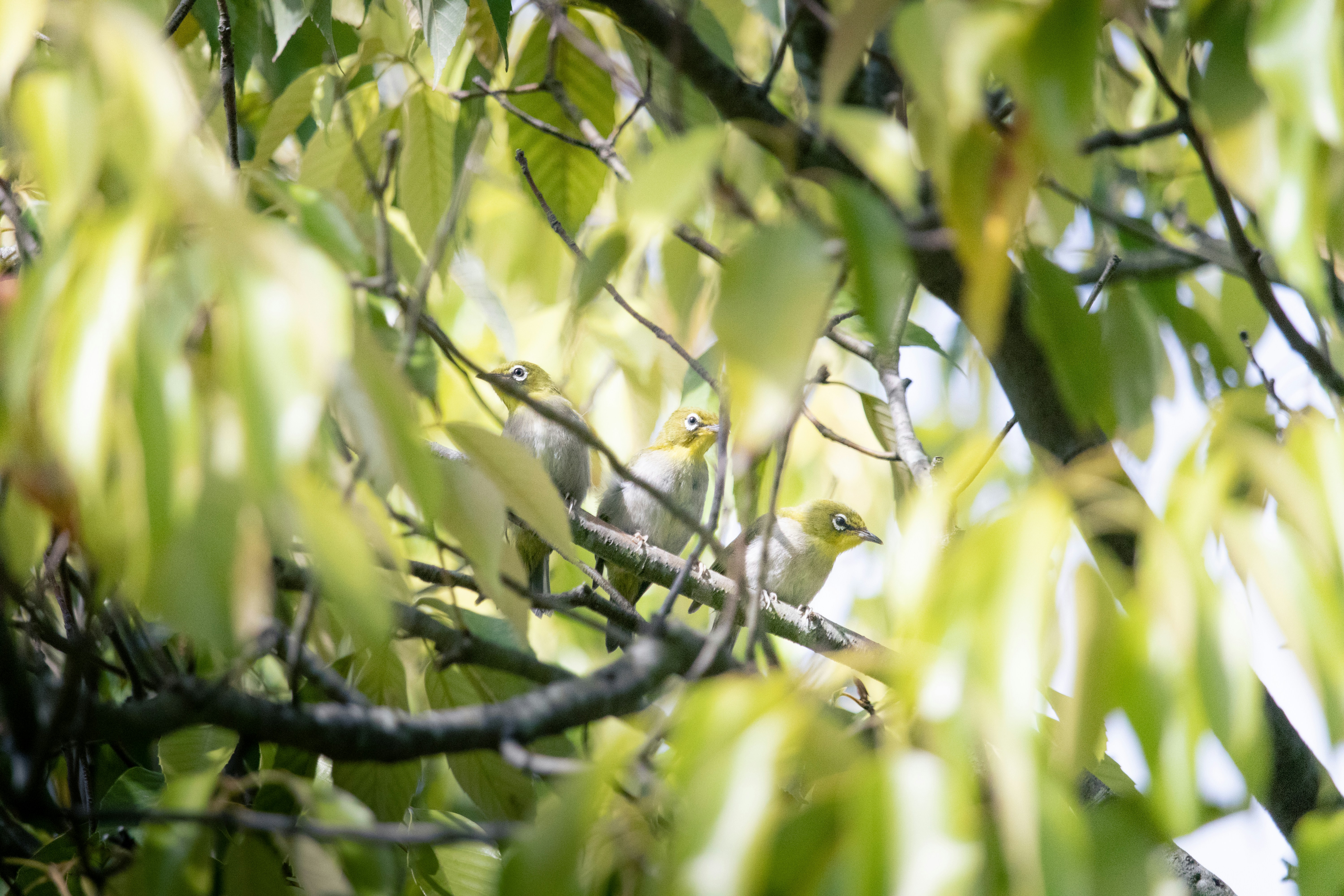 Photo by keita_yoshida_jha