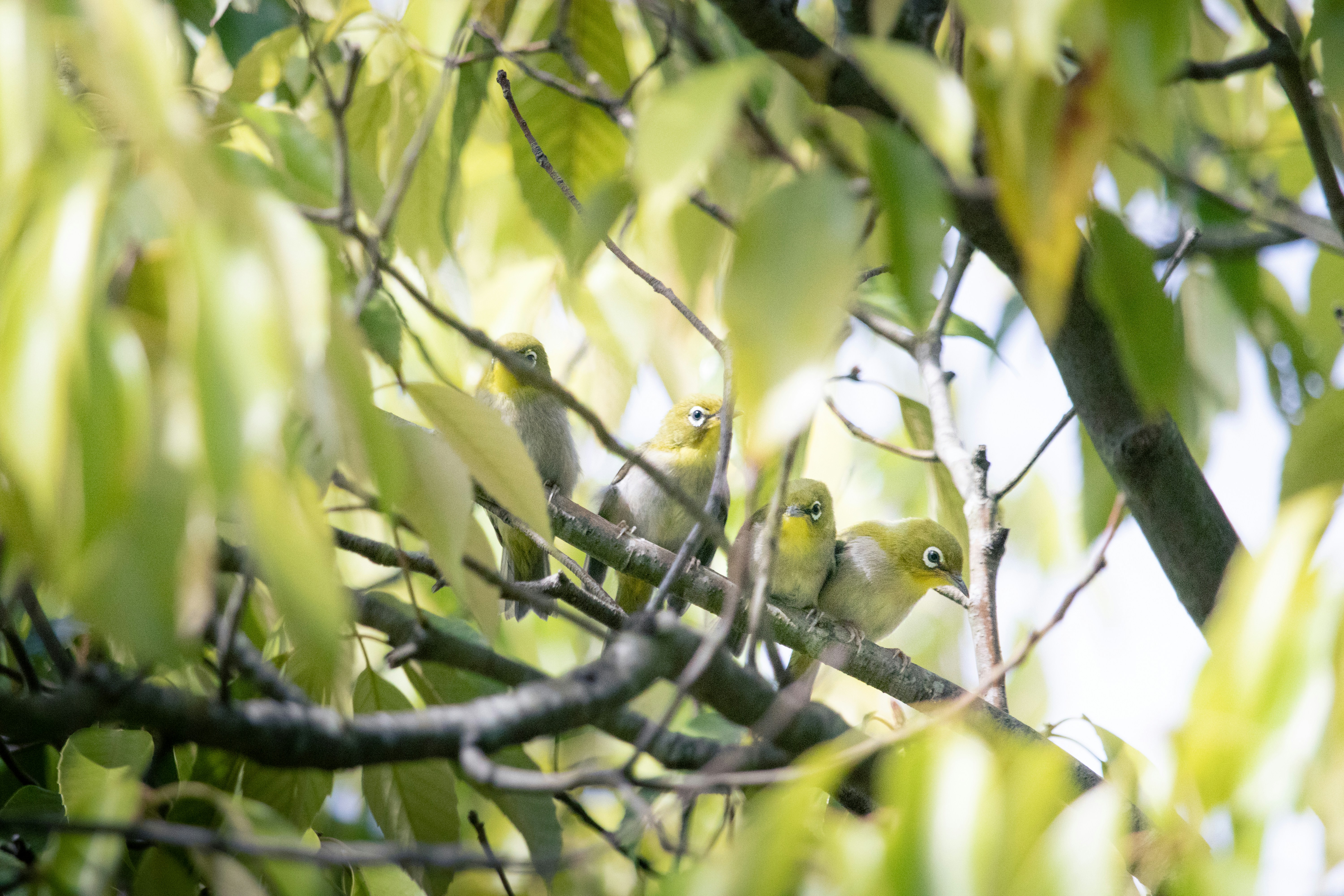 Photo by keita_yoshida_jha