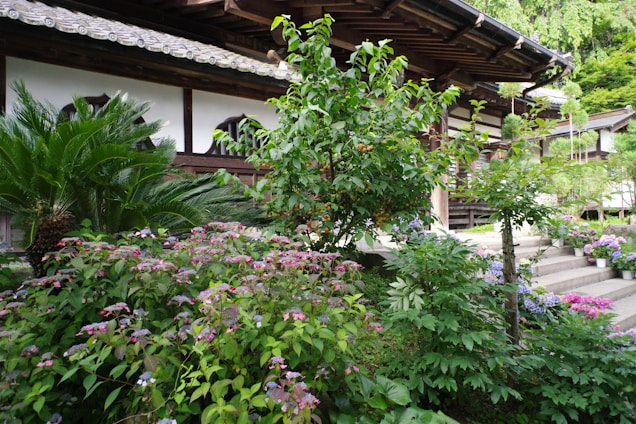 A house with a lot of plants and flowers in front of it