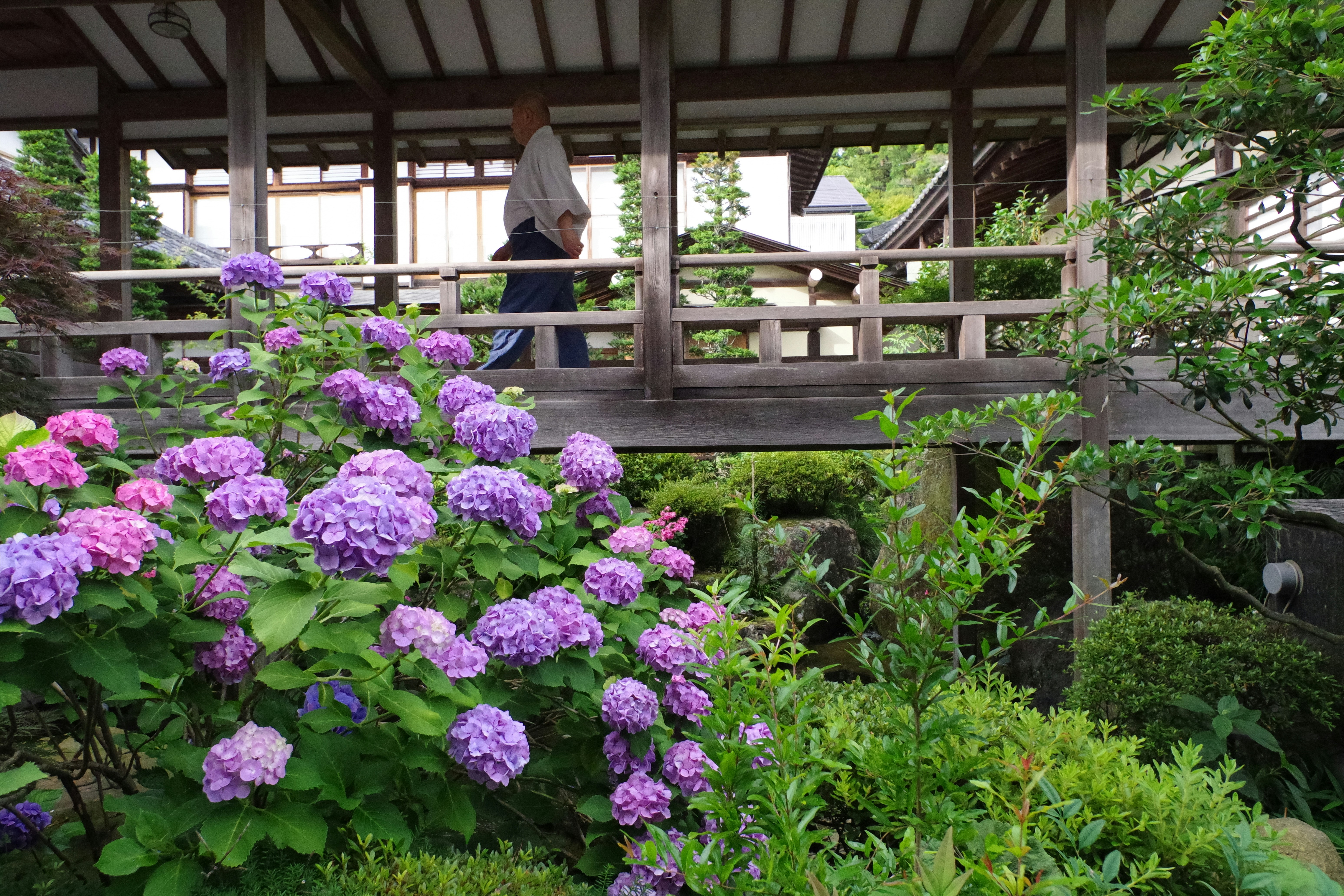 媽啊！我家竟然比五星飯店乾淨？清潔阿姨曝「這招」我跪了！
