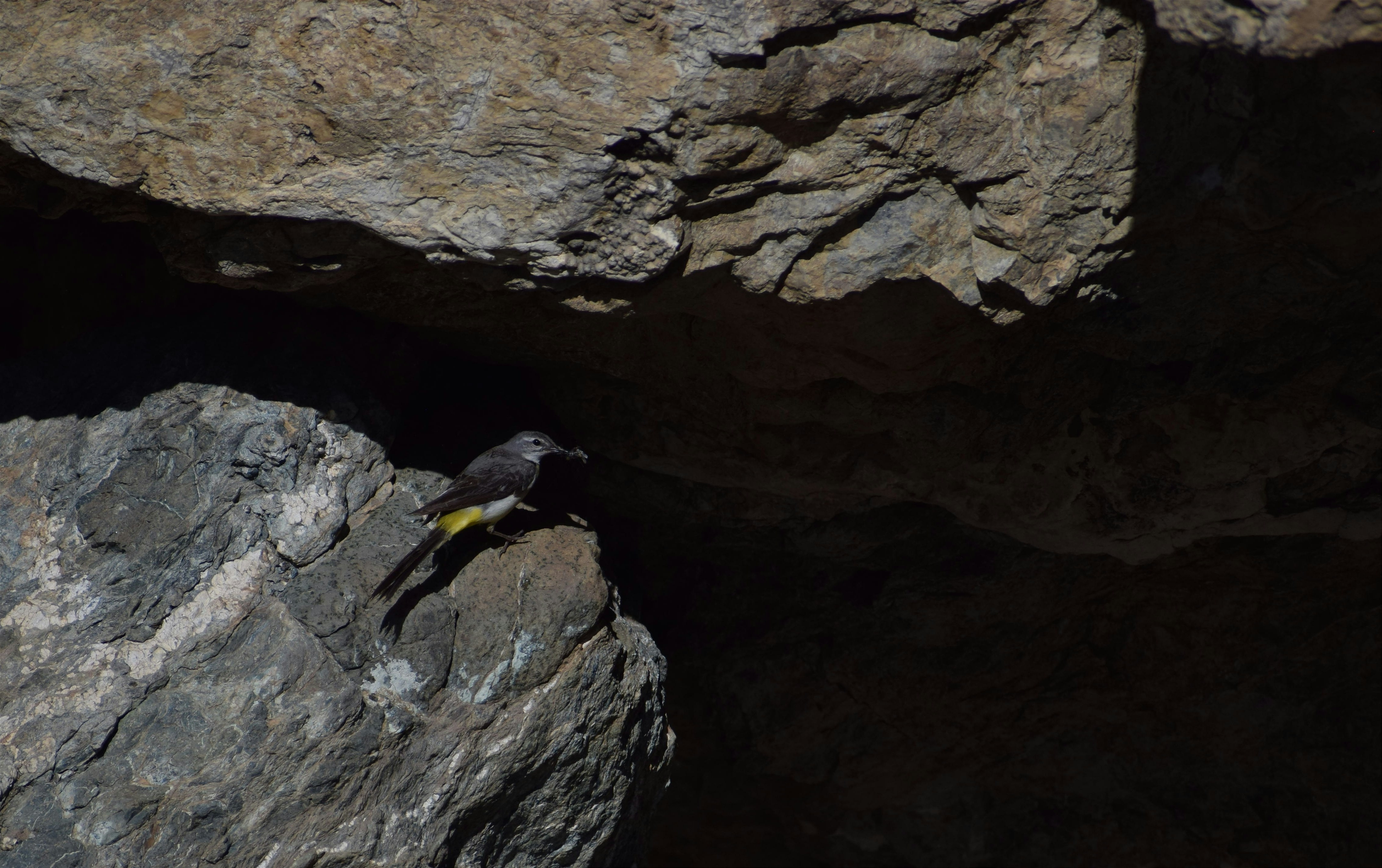 Photo by shirinsaleki