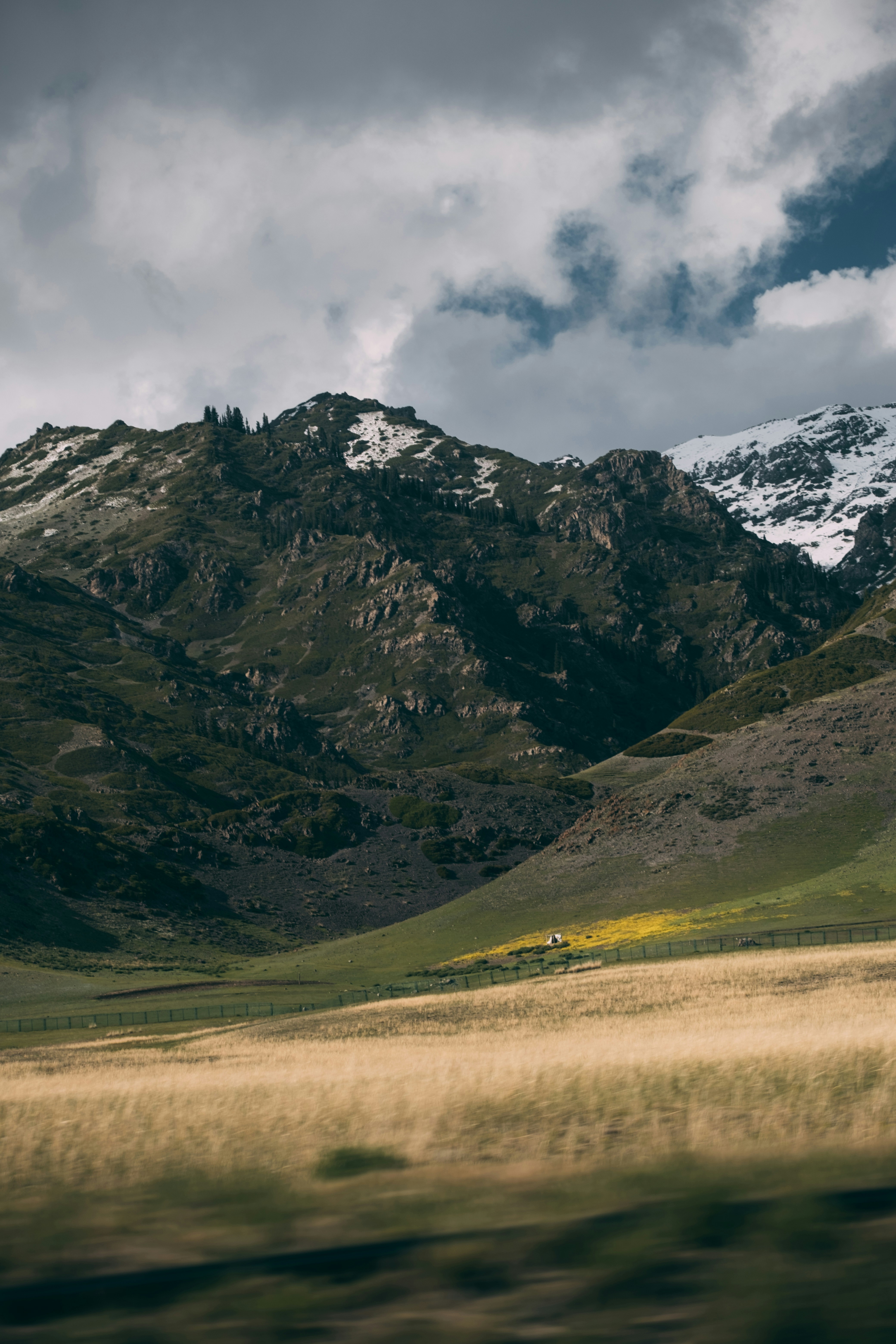 A field with a mountain in the background