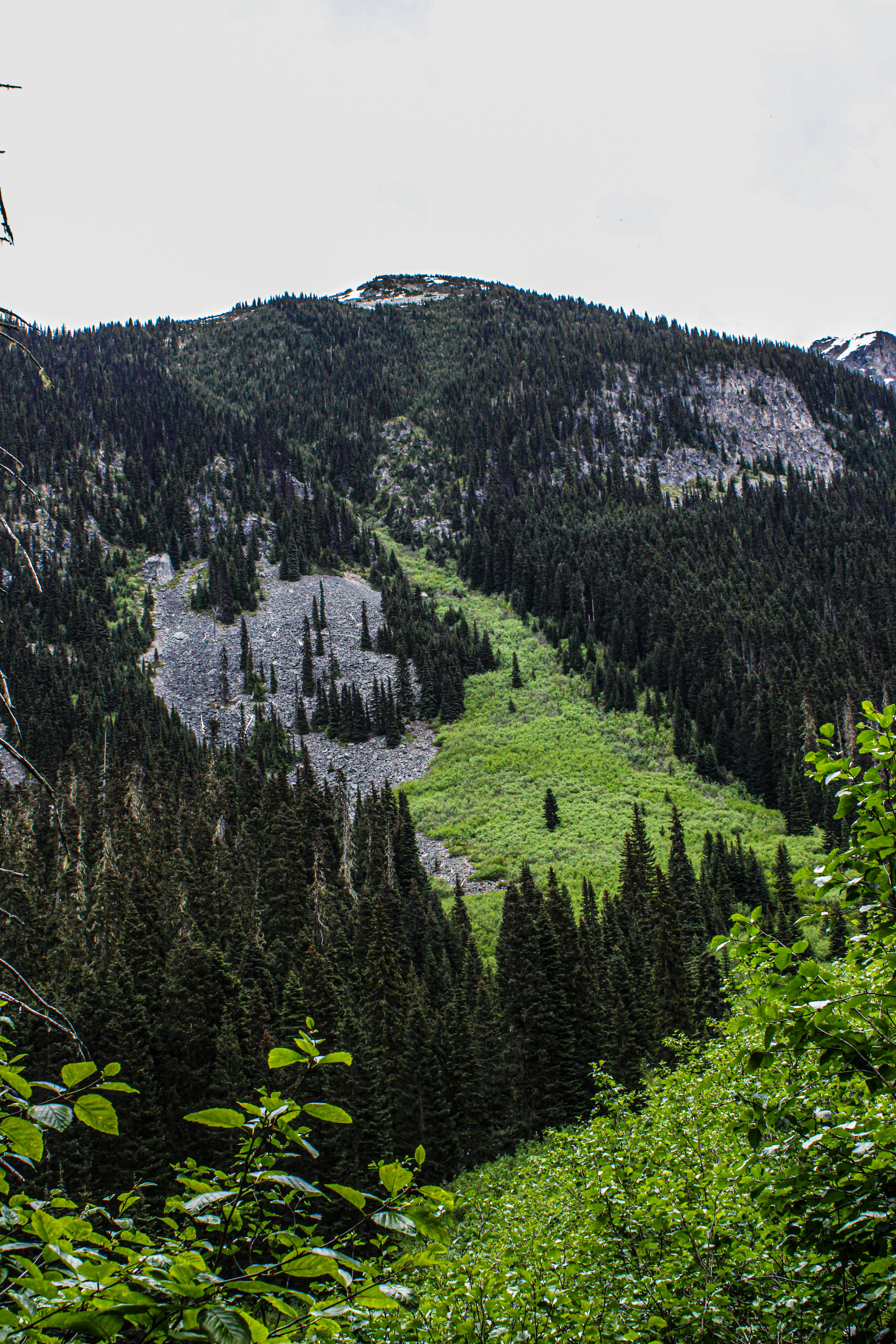 Photo by prphotography262