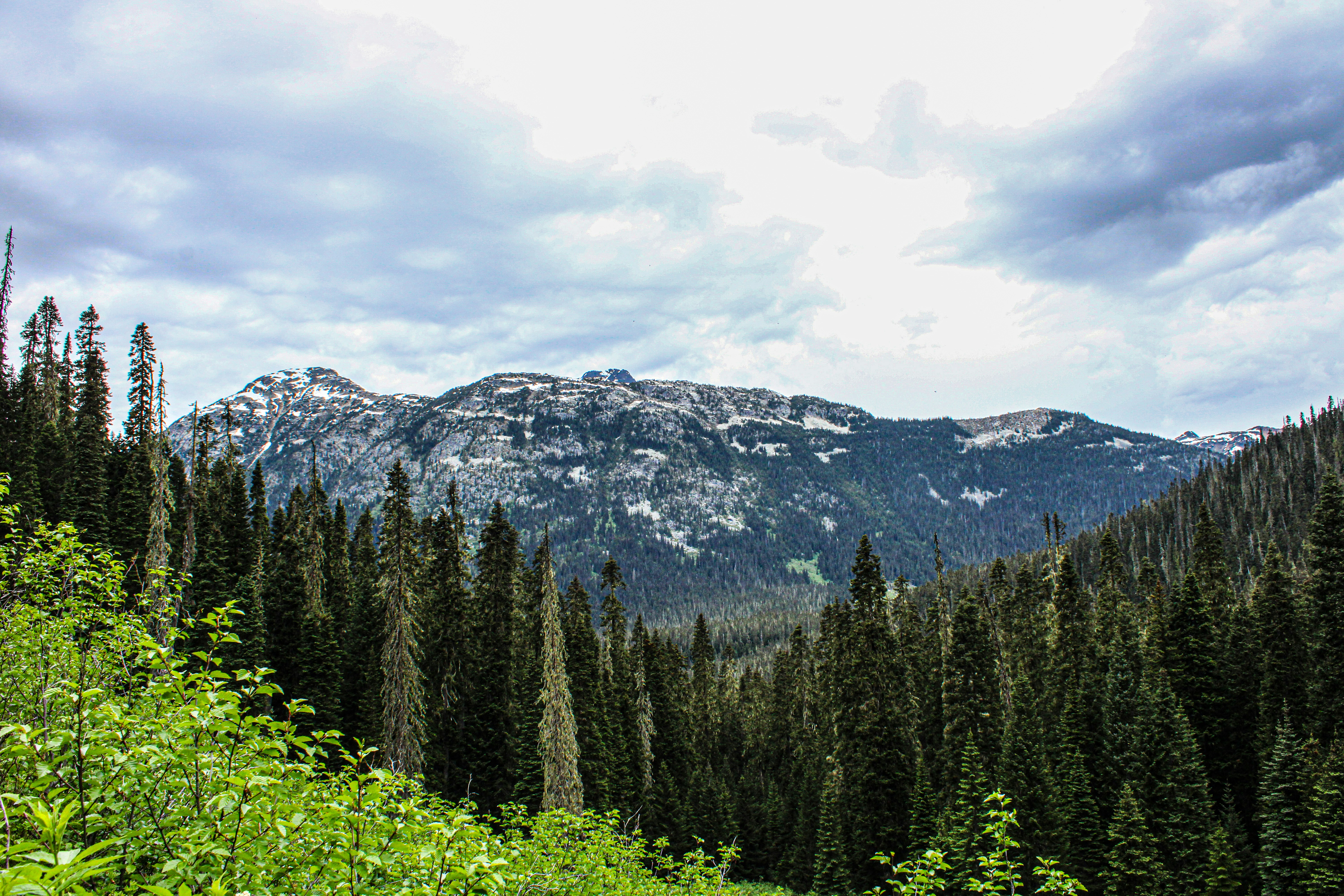 Photo by prphotography262