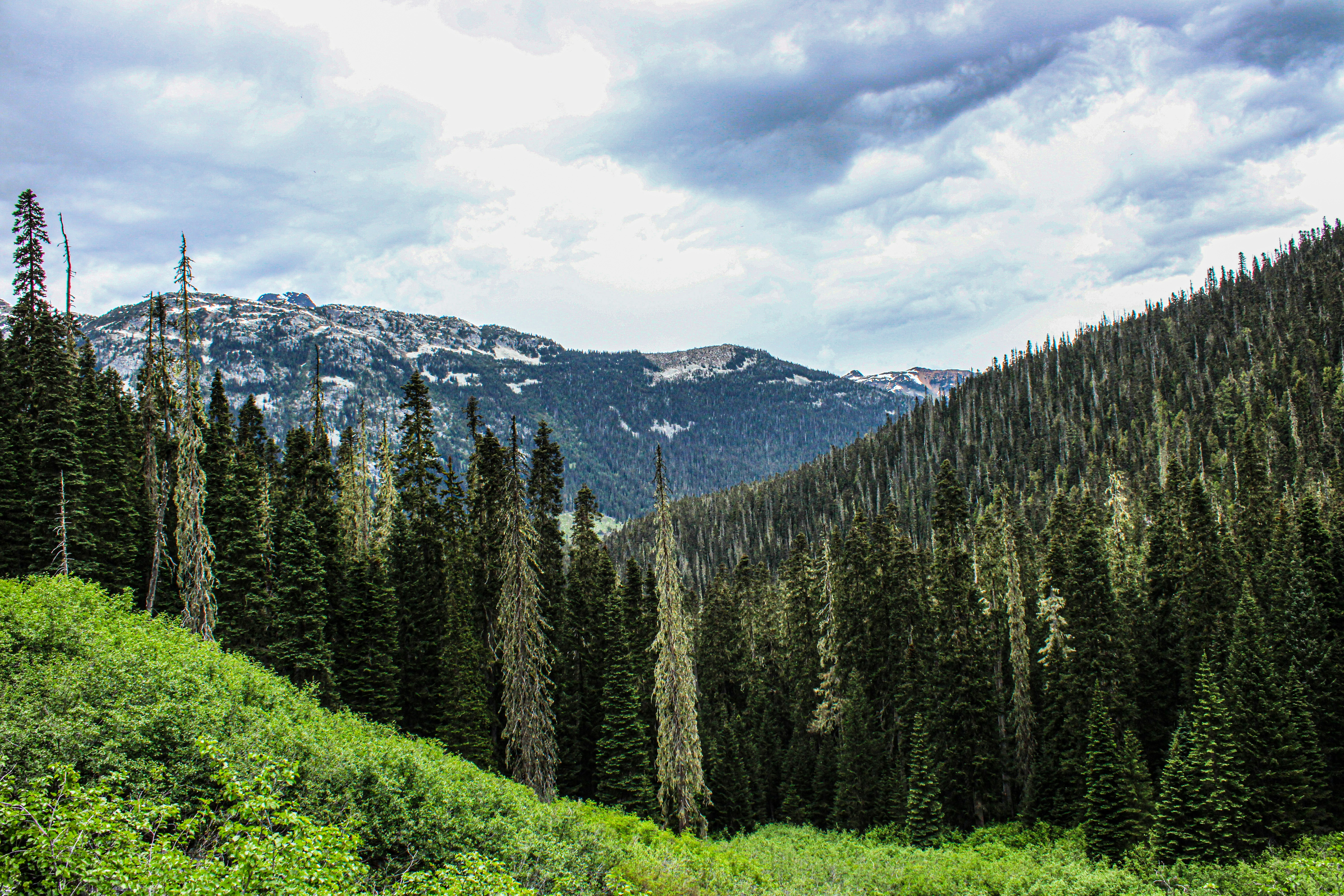 Photo by prphotography262