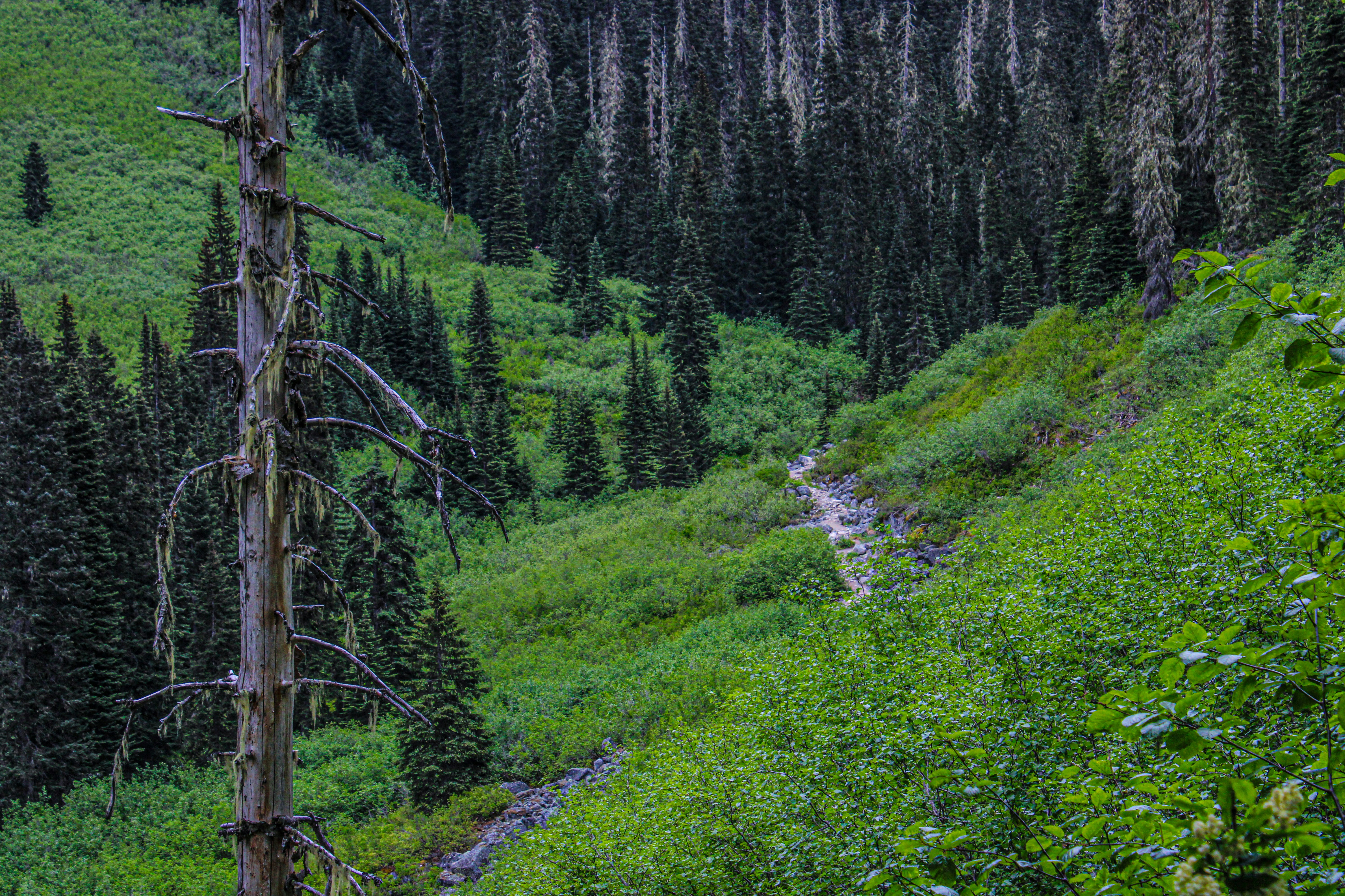 Photo by prphotography262