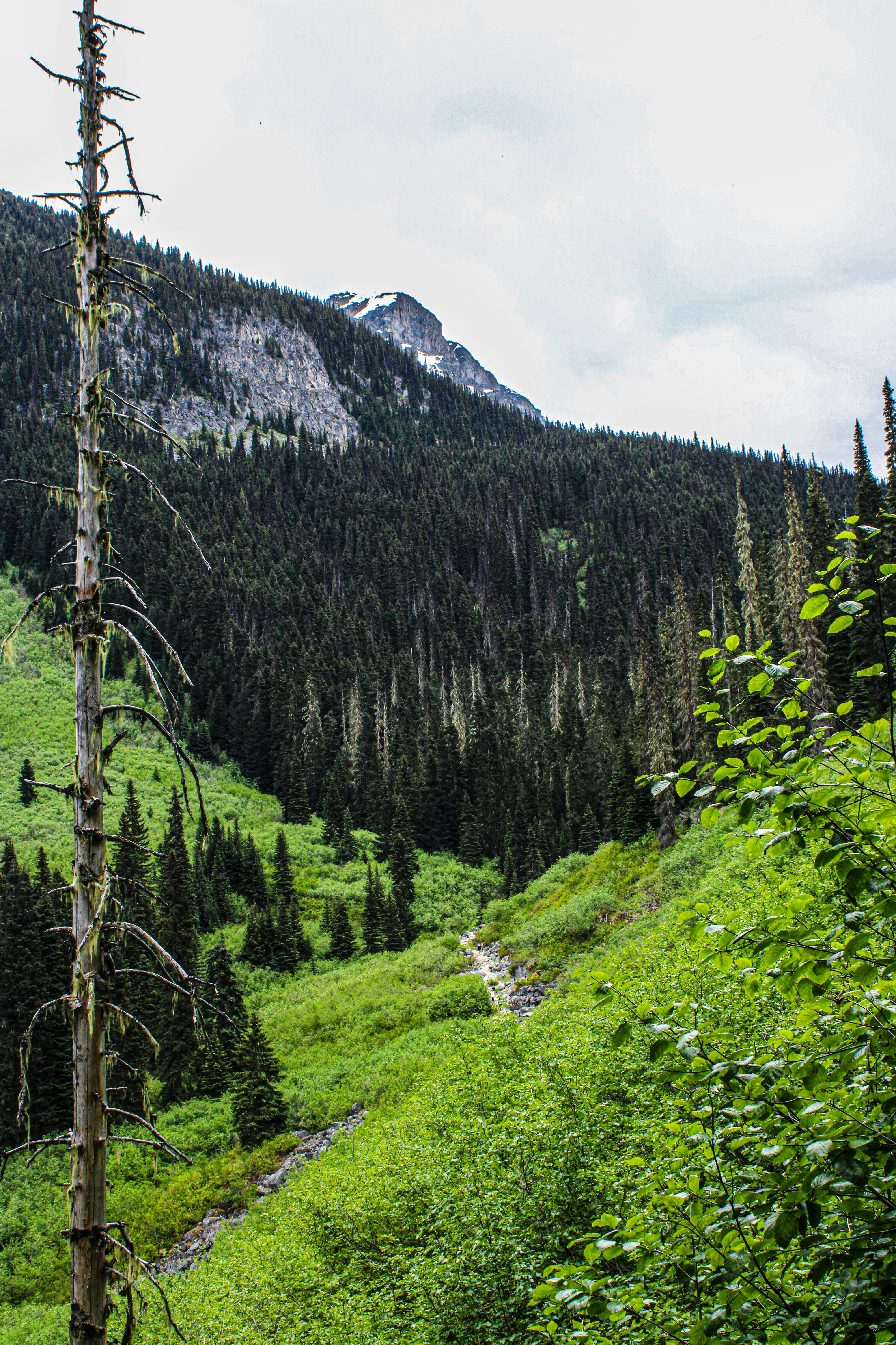 Photo by prphotography262