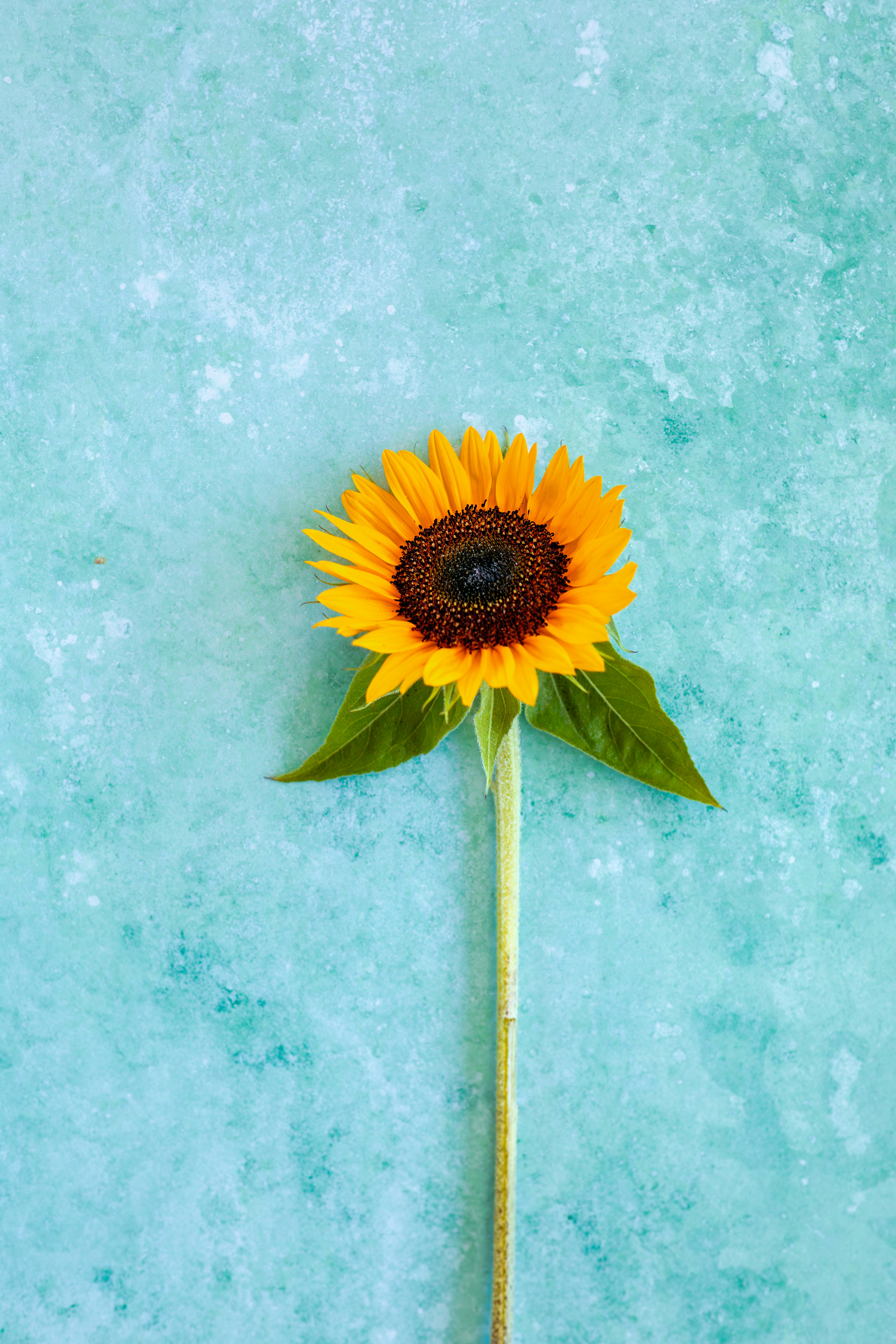 Photo by switchinglanes