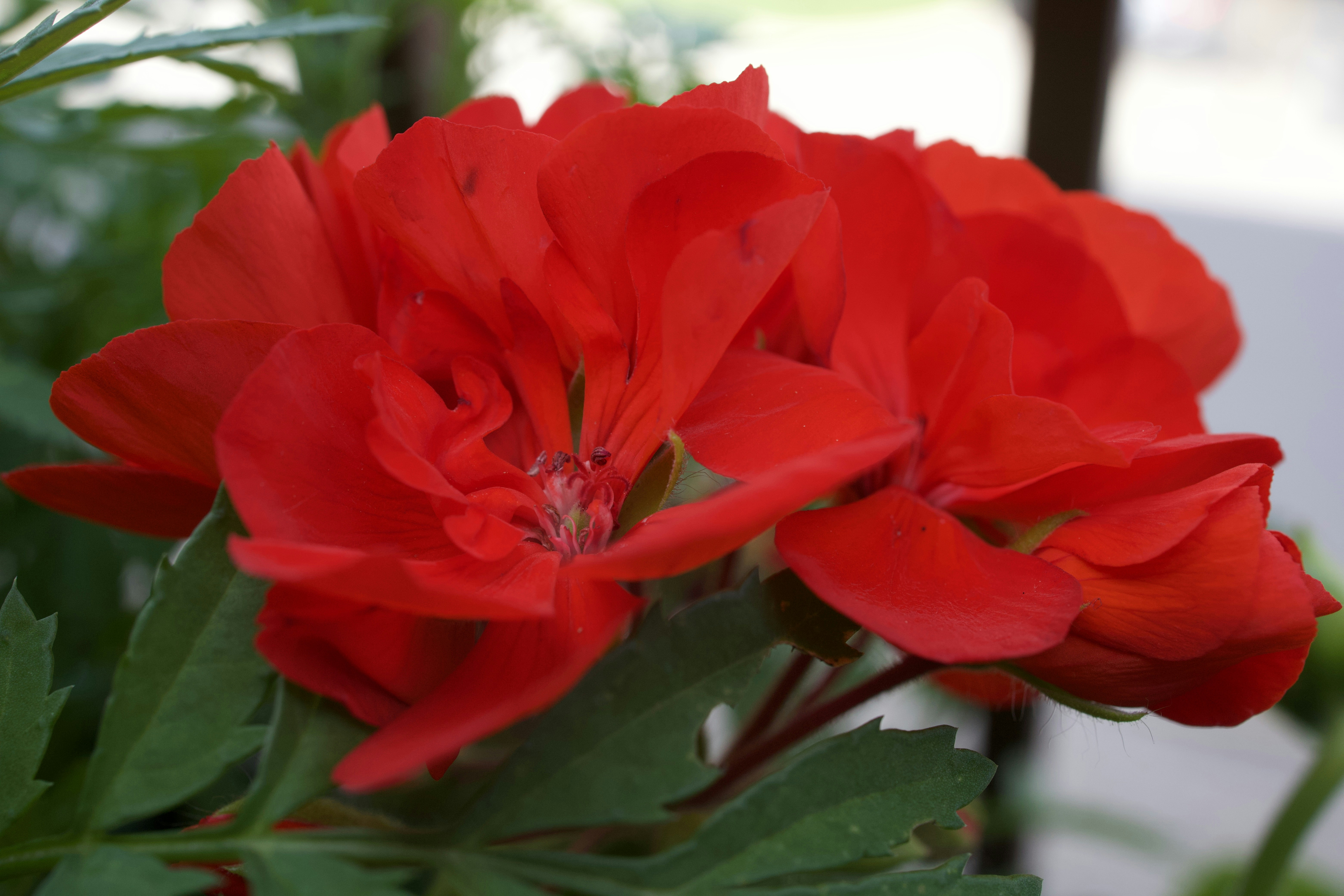 Vers un code moral hybride pour une cohabitation harmonieuse entre humains et intelligence artificielle