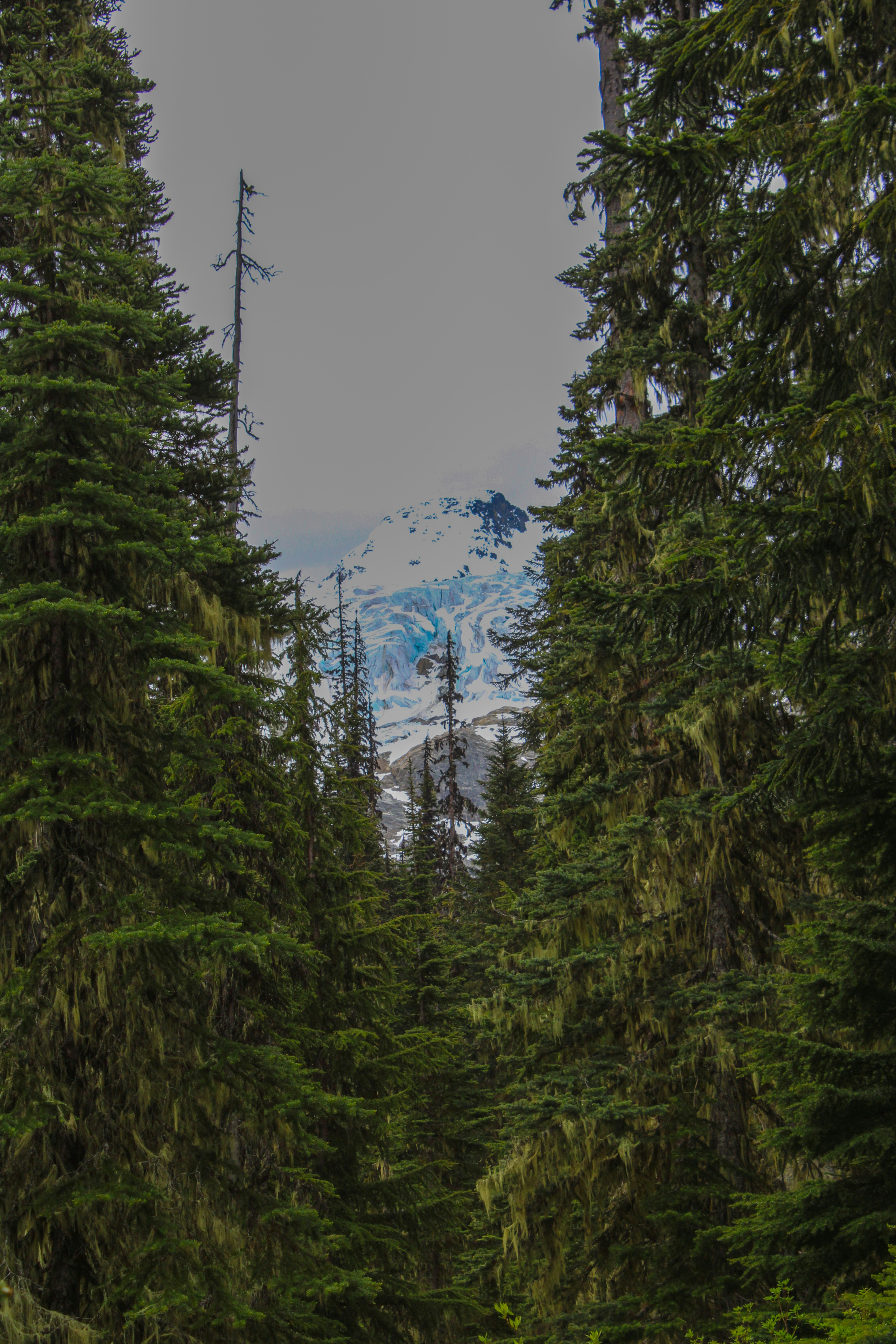 Photo by prphotography262