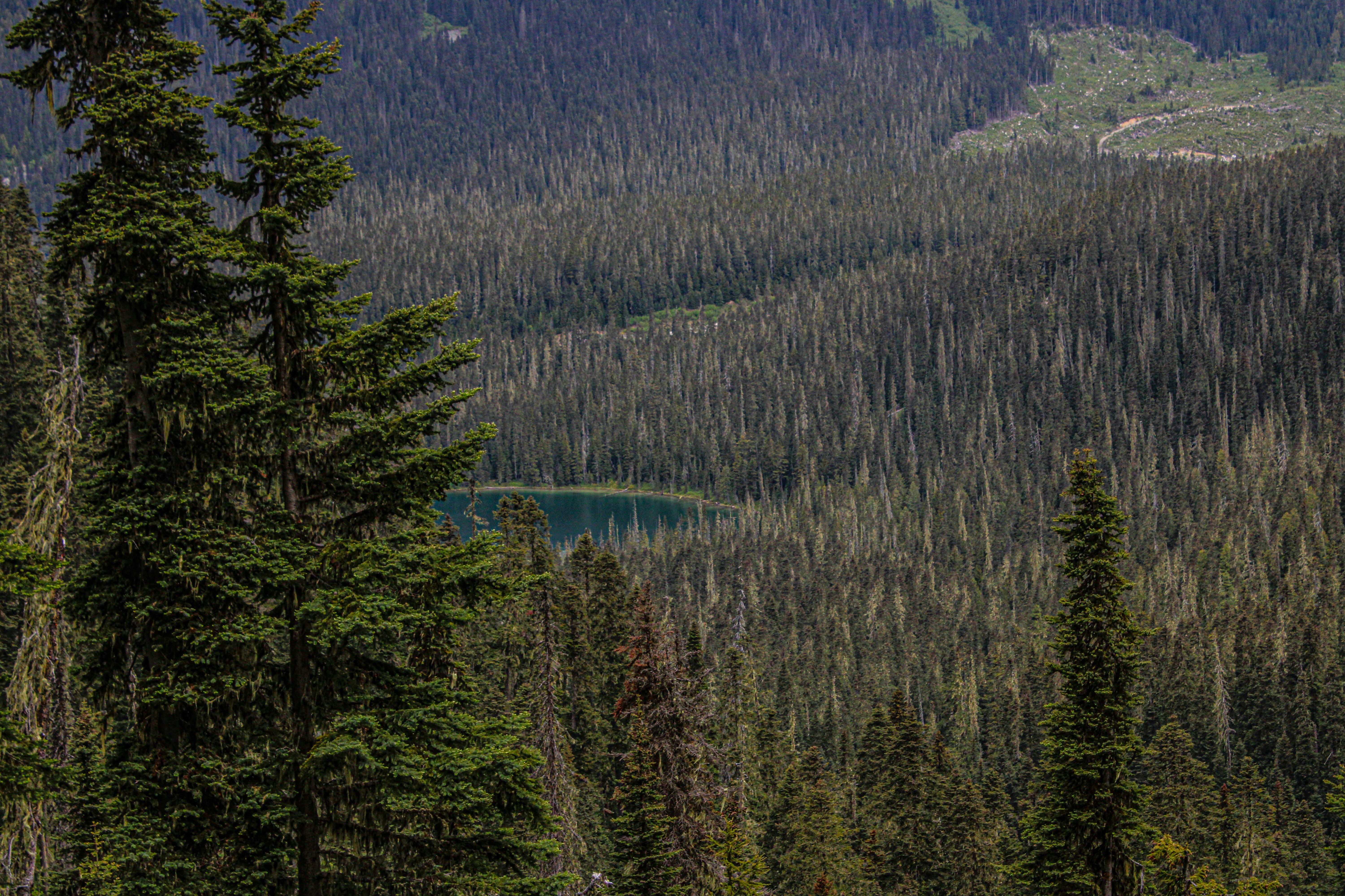 Photo by prphotography262