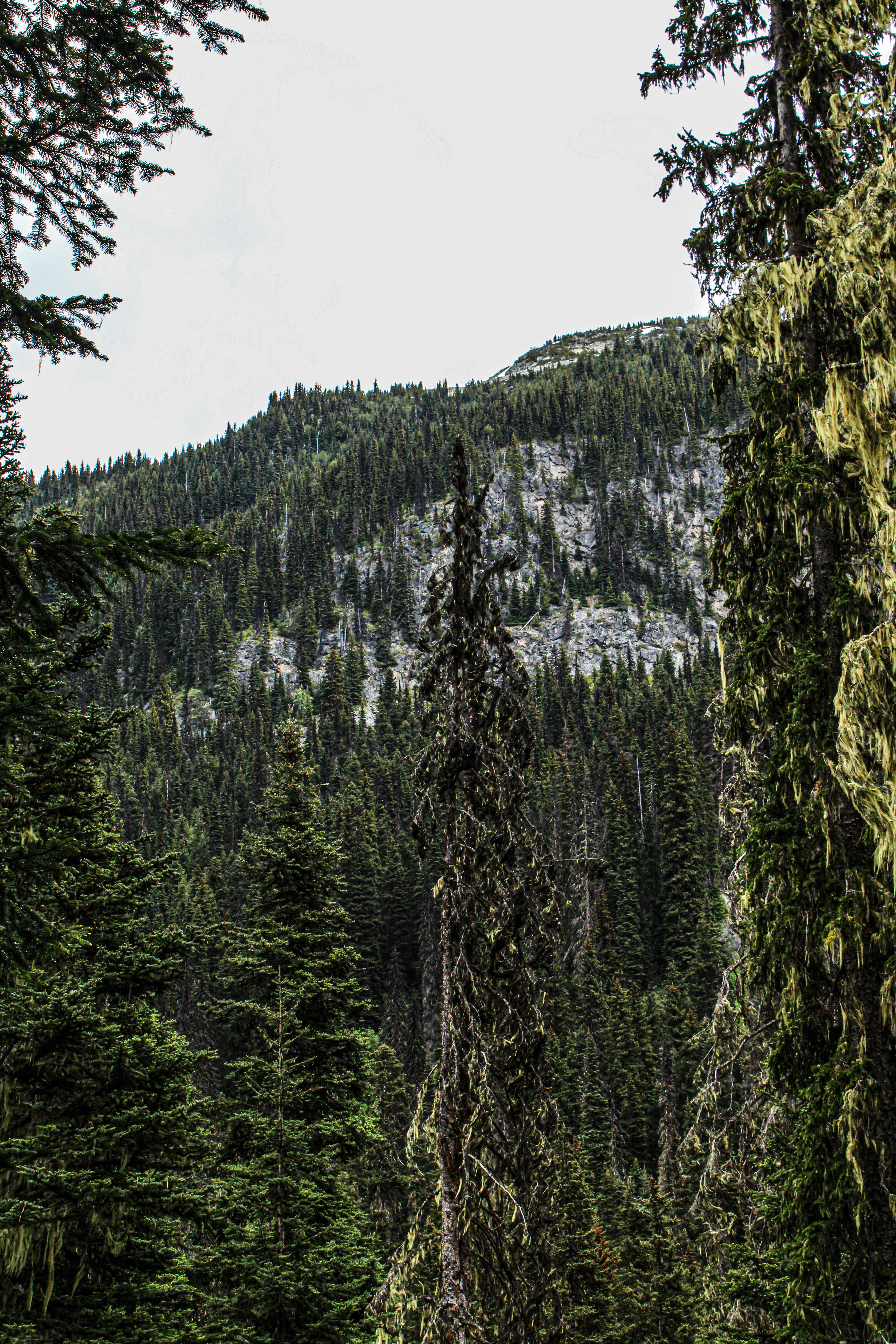 Photo by prphotography262