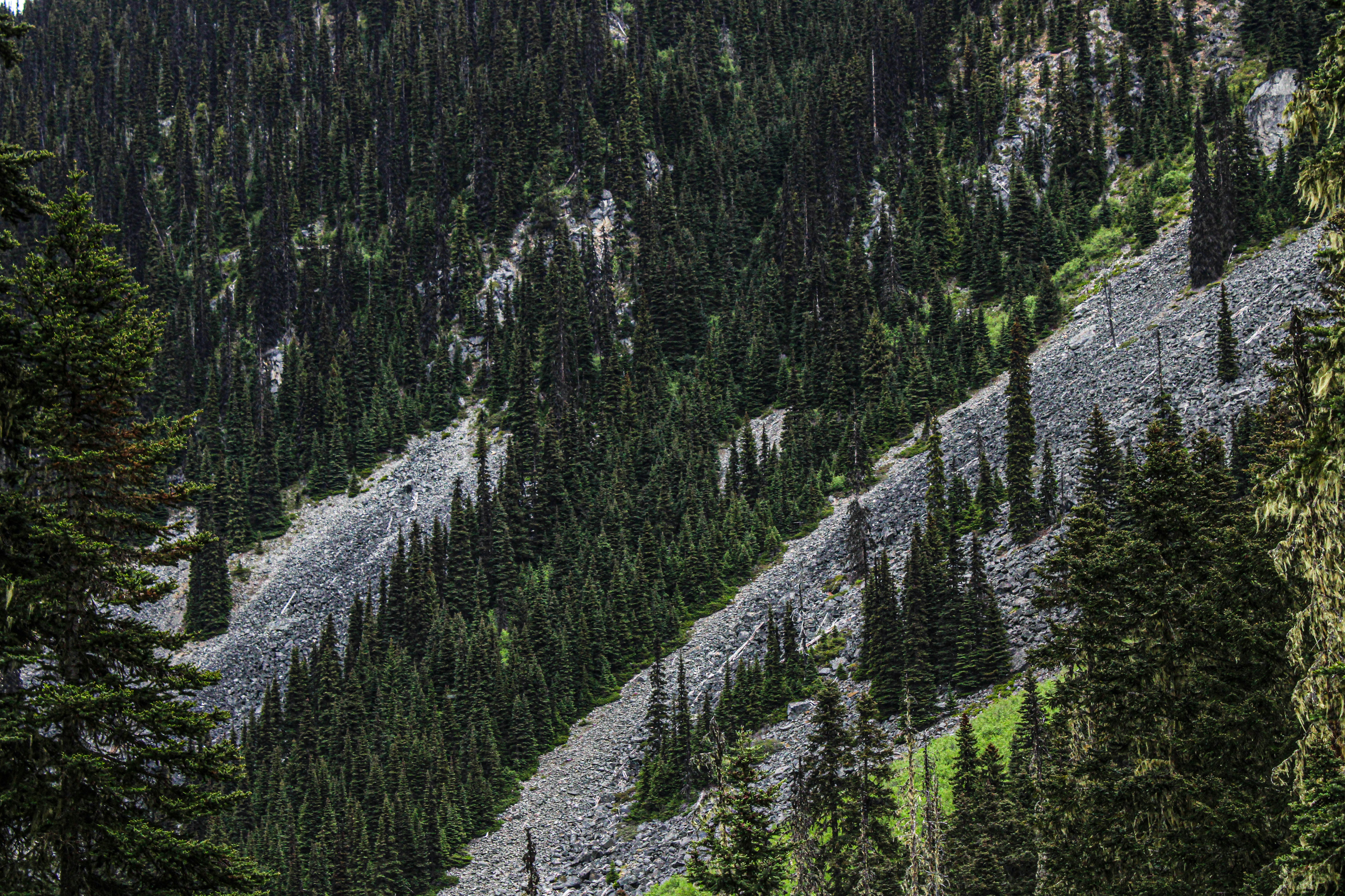 Photograph of a steep mountain slope covered in loose scree and evergreen trees overlooking a valley,representing treacherous terrain.