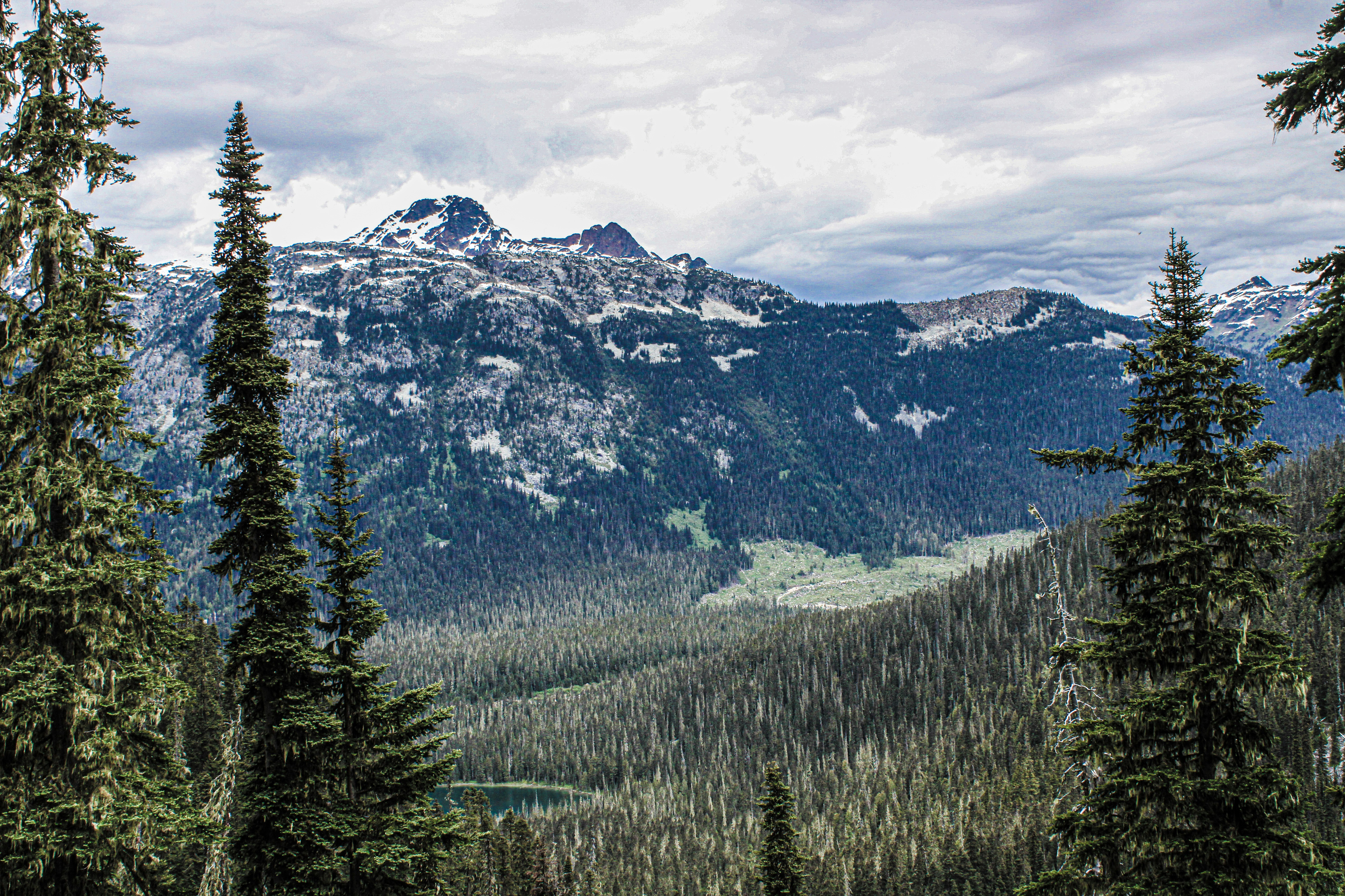 Photo by prphotography262