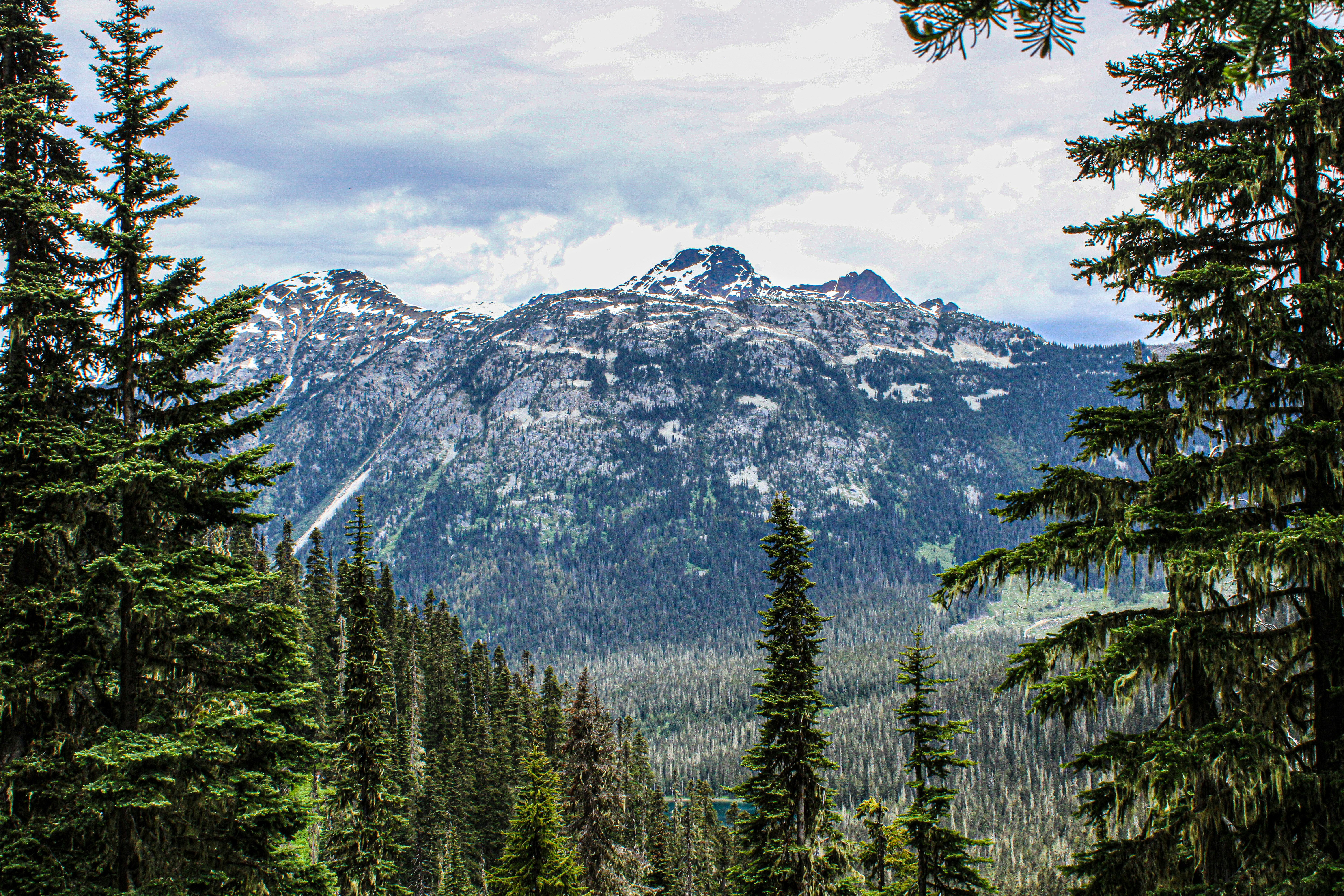 Photo by prphotography262