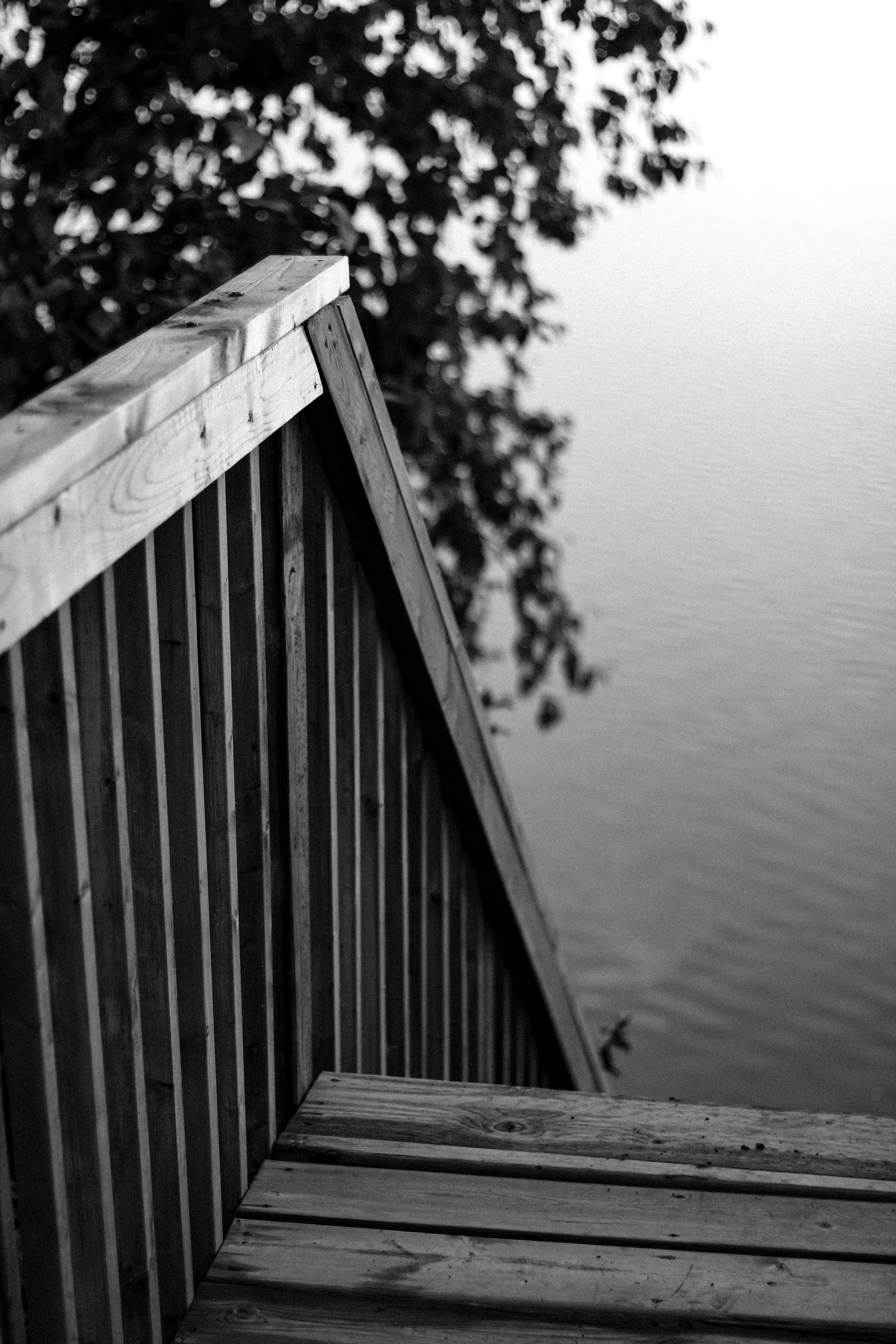 Photo by linusbelanger