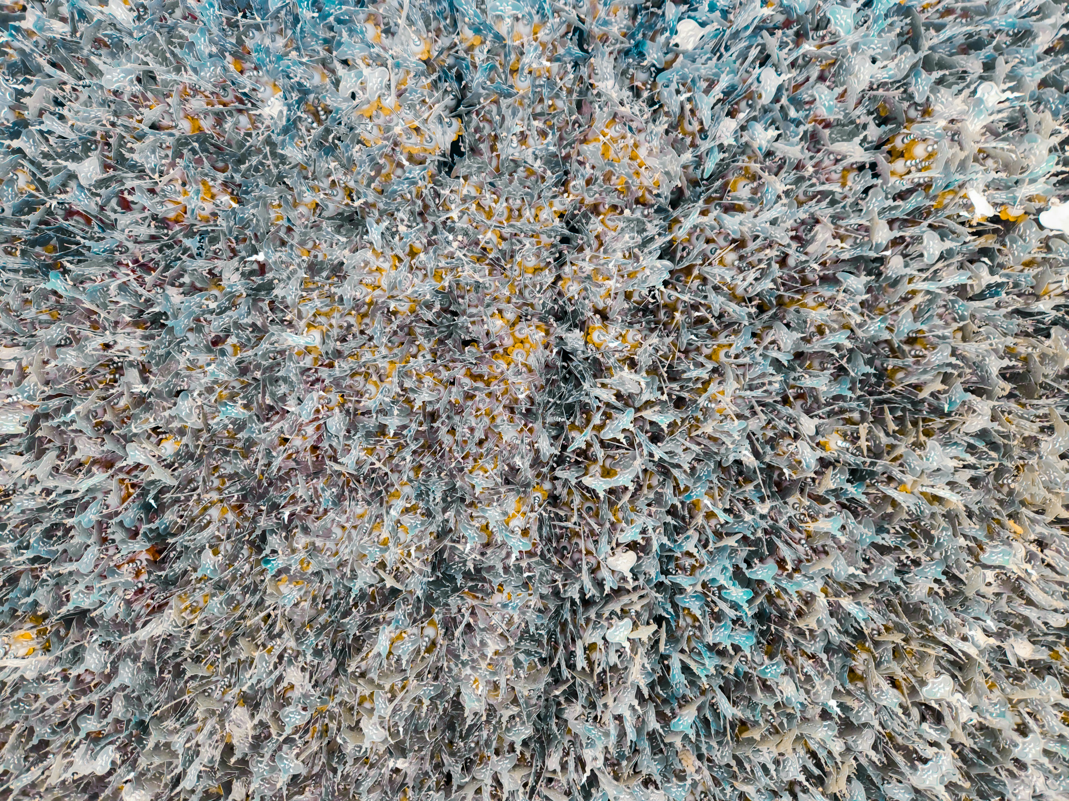 Photo by your_scorpion