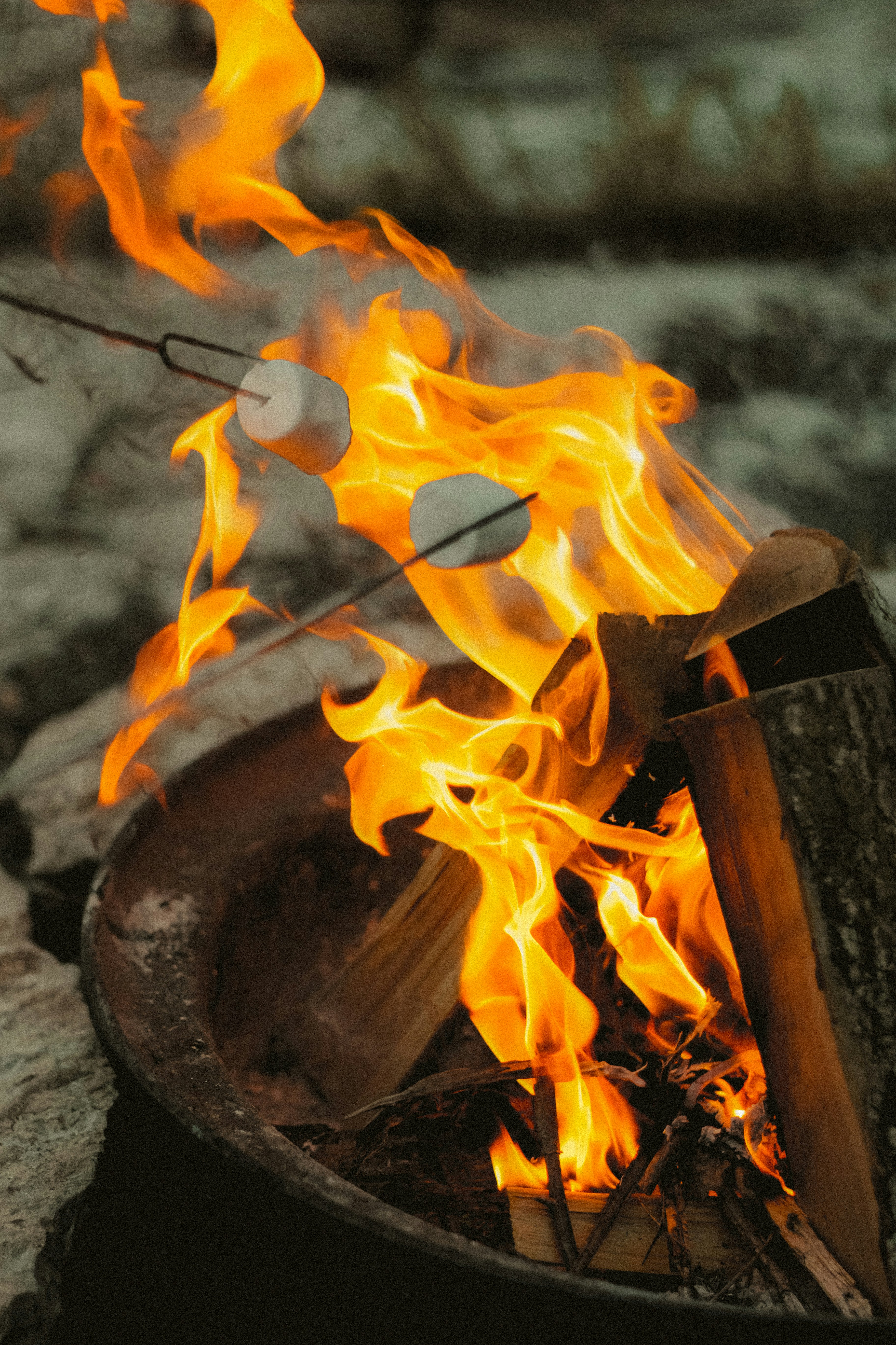 Photo by linusbelanger