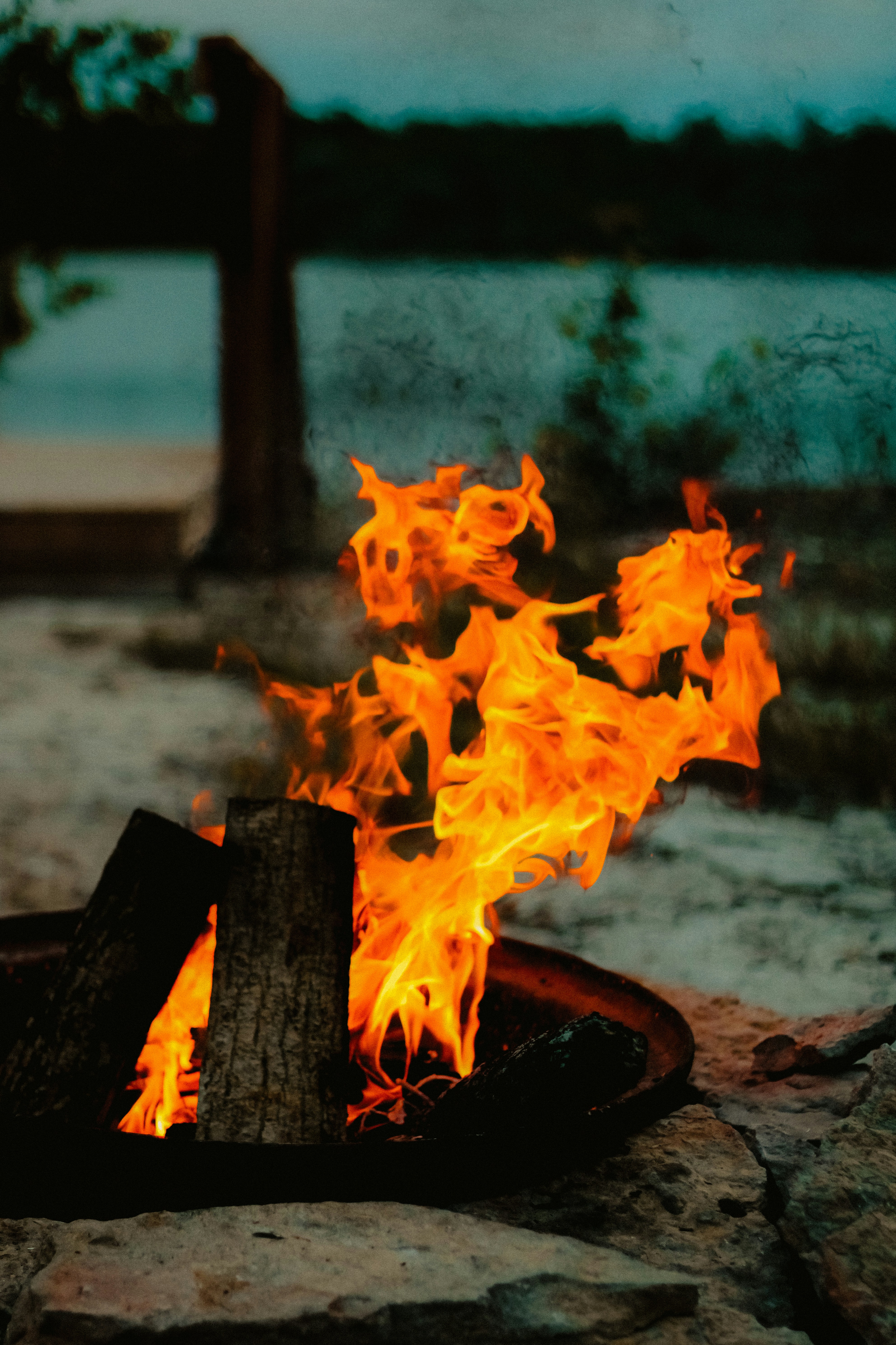 Photo by linusbelanger