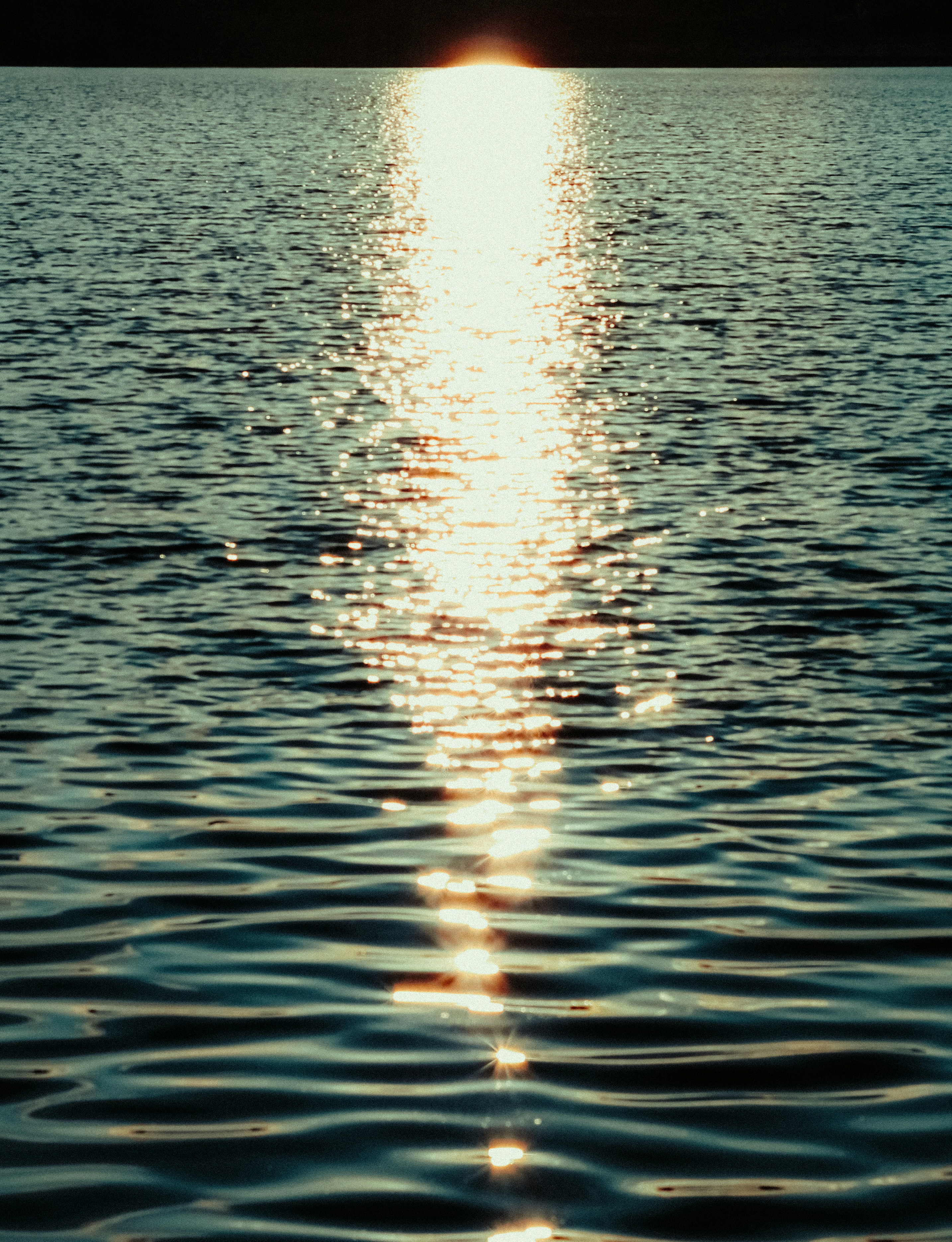 Photo by linusbelanger