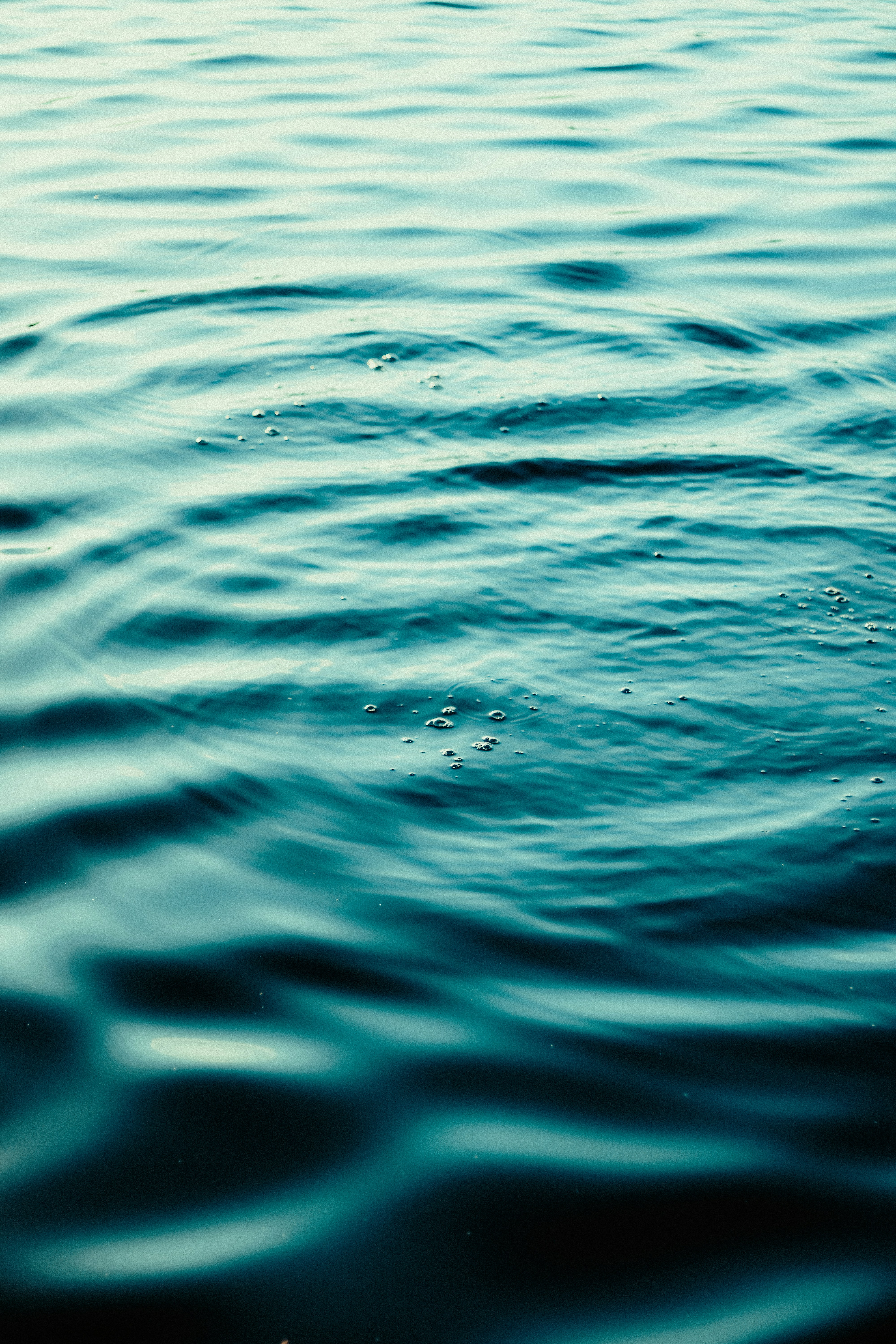 Photo by linusbelanger