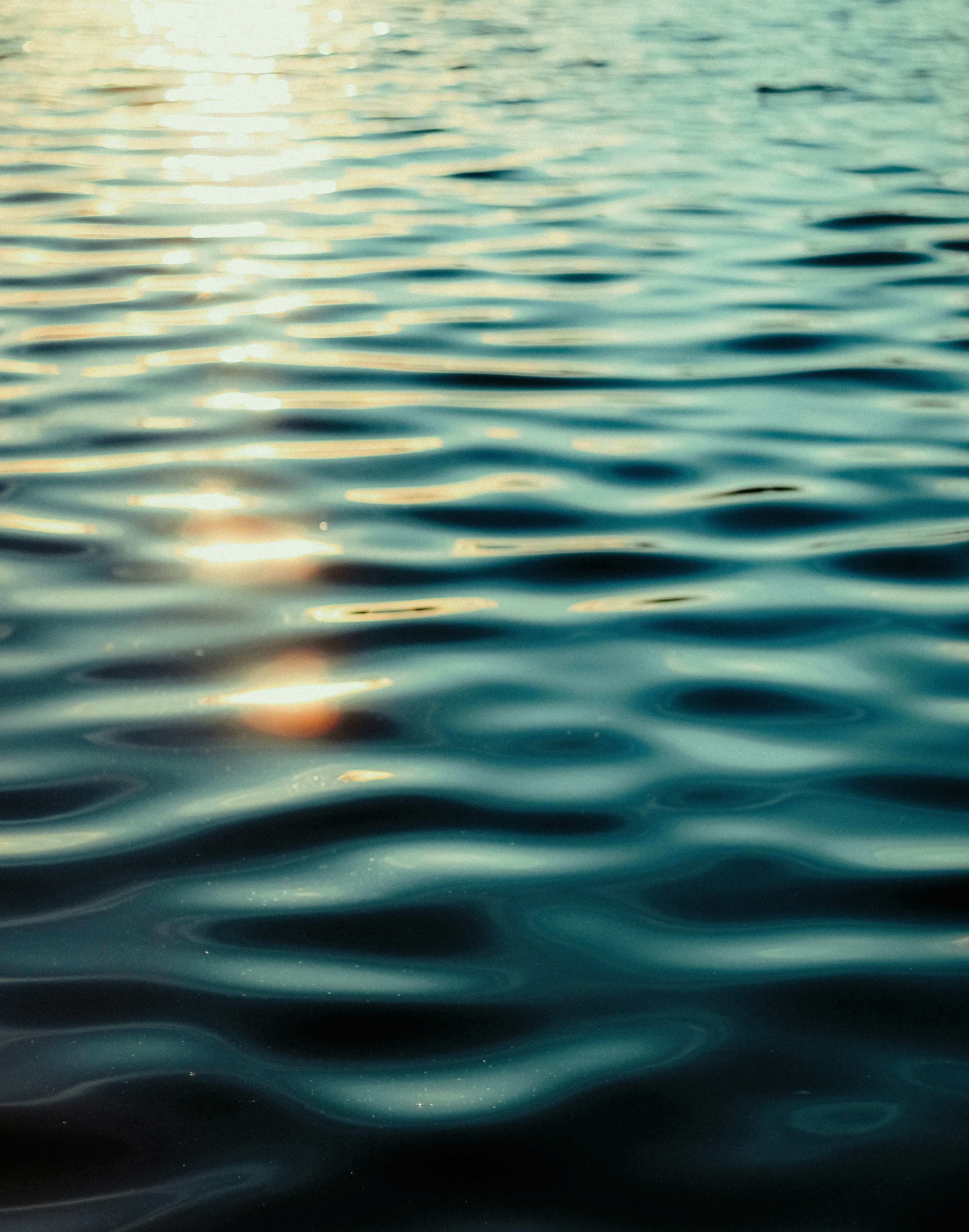 Photo by linusbelanger