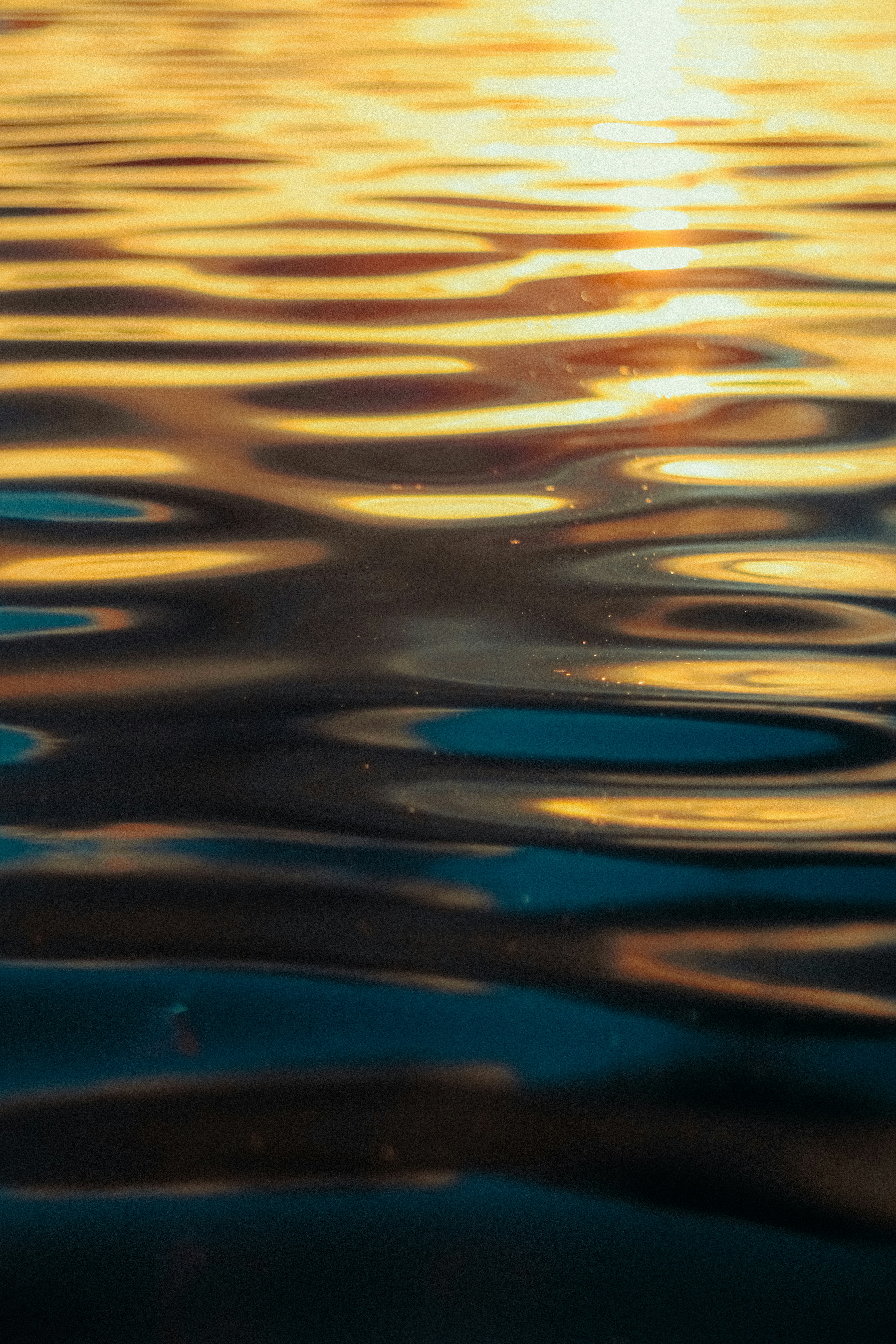 Photo by linusbelanger