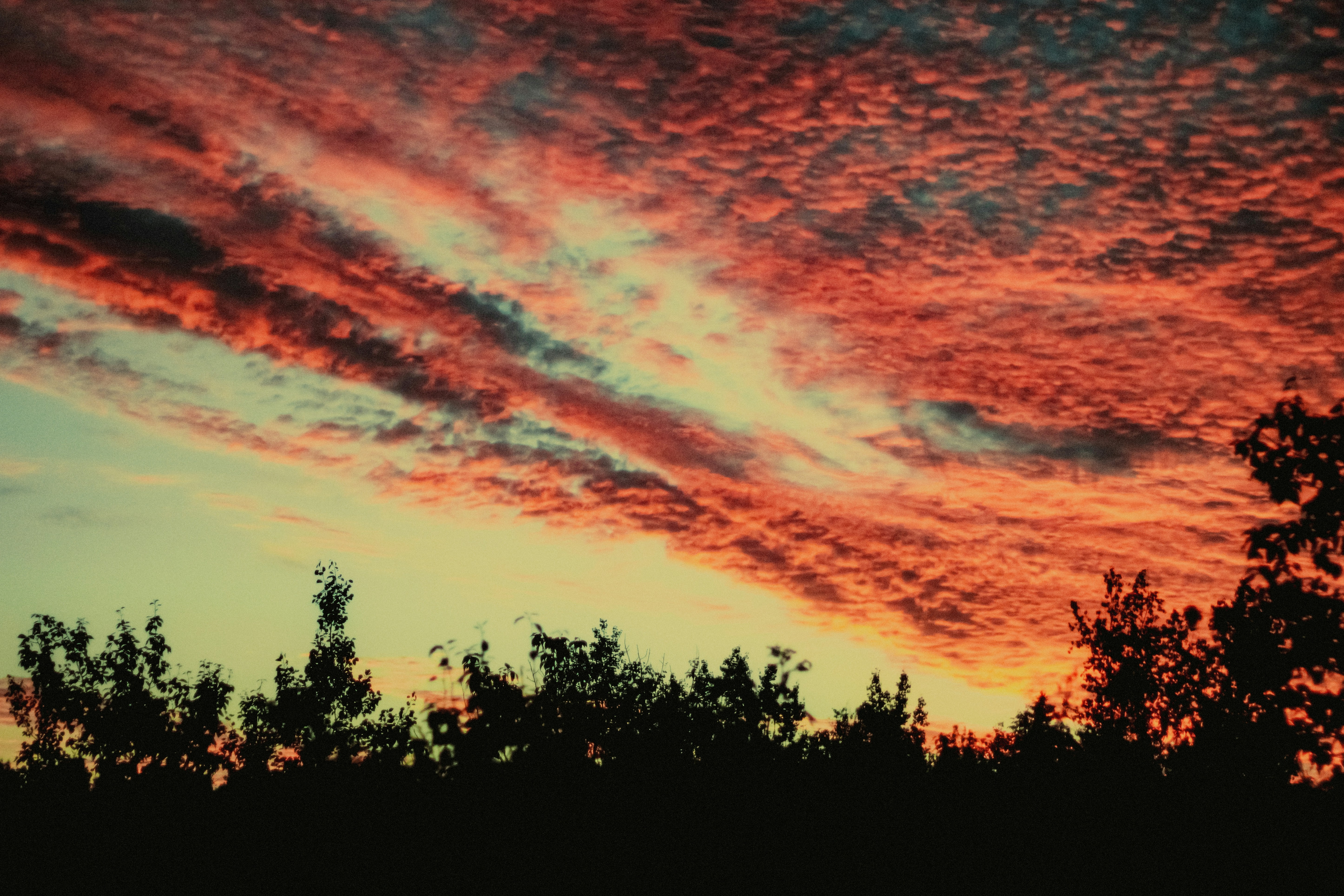 Photo by linusbelanger