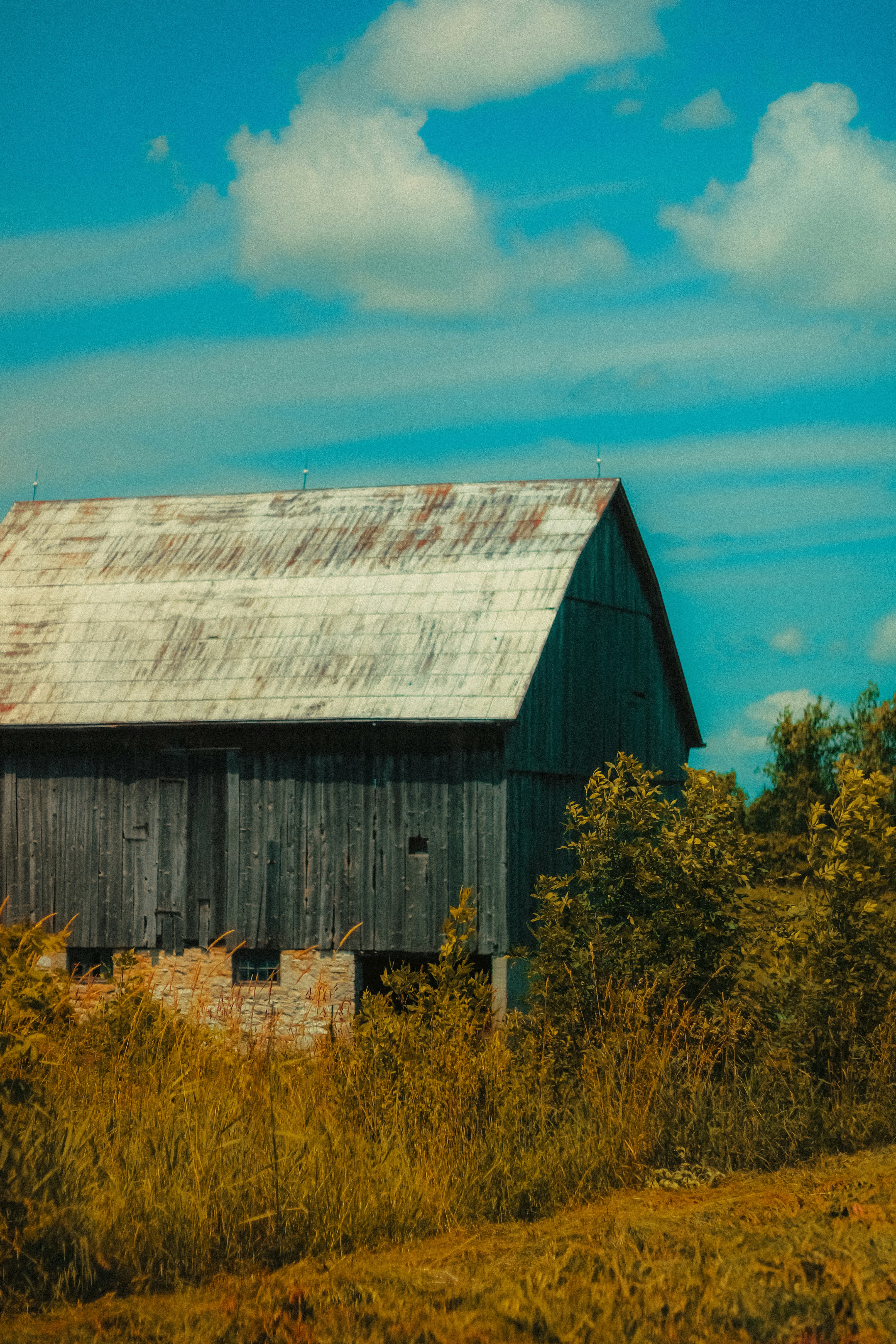 Photo by linusbelanger