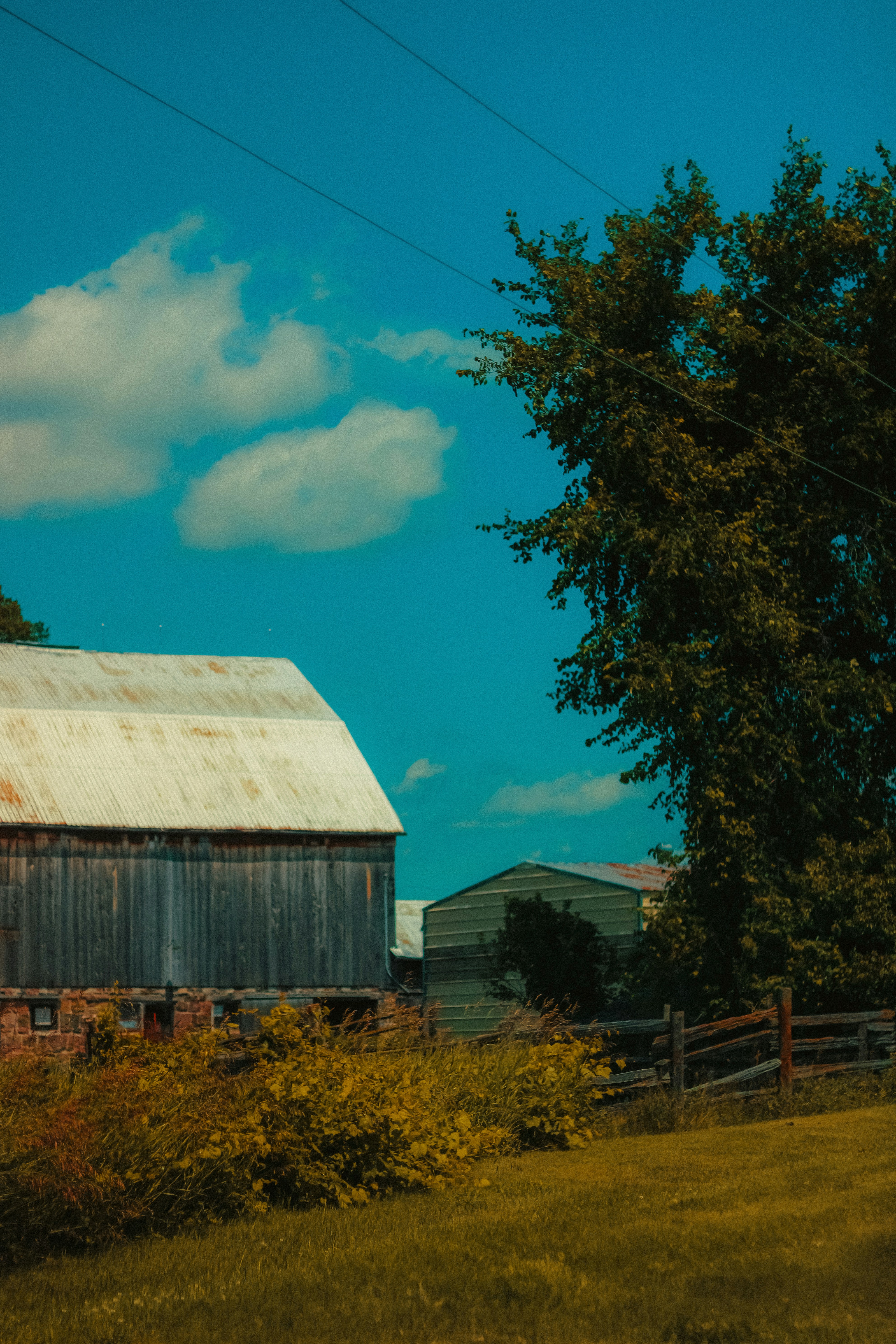 Photo by linusbelanger