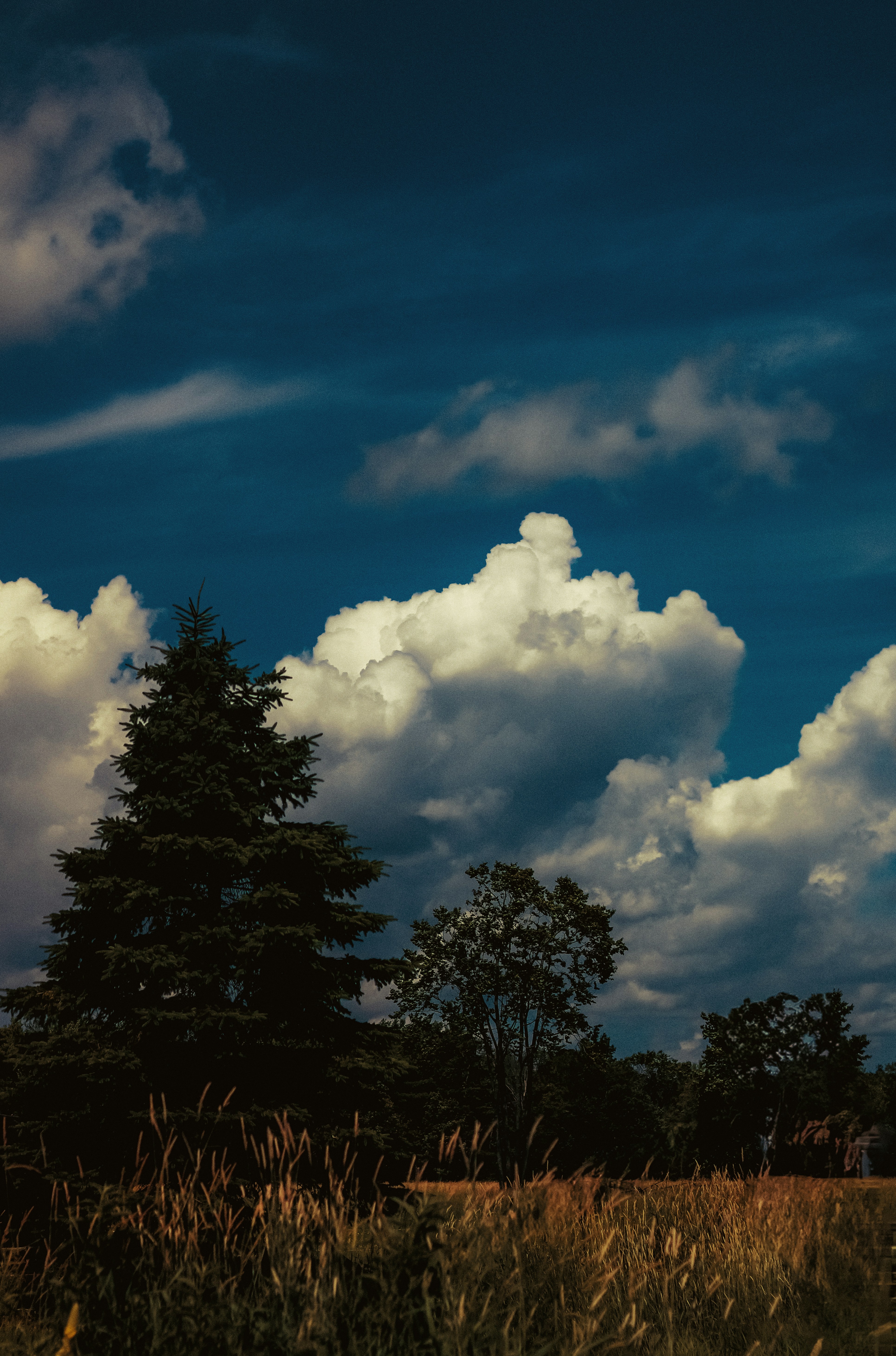 Photo by linusbelanger