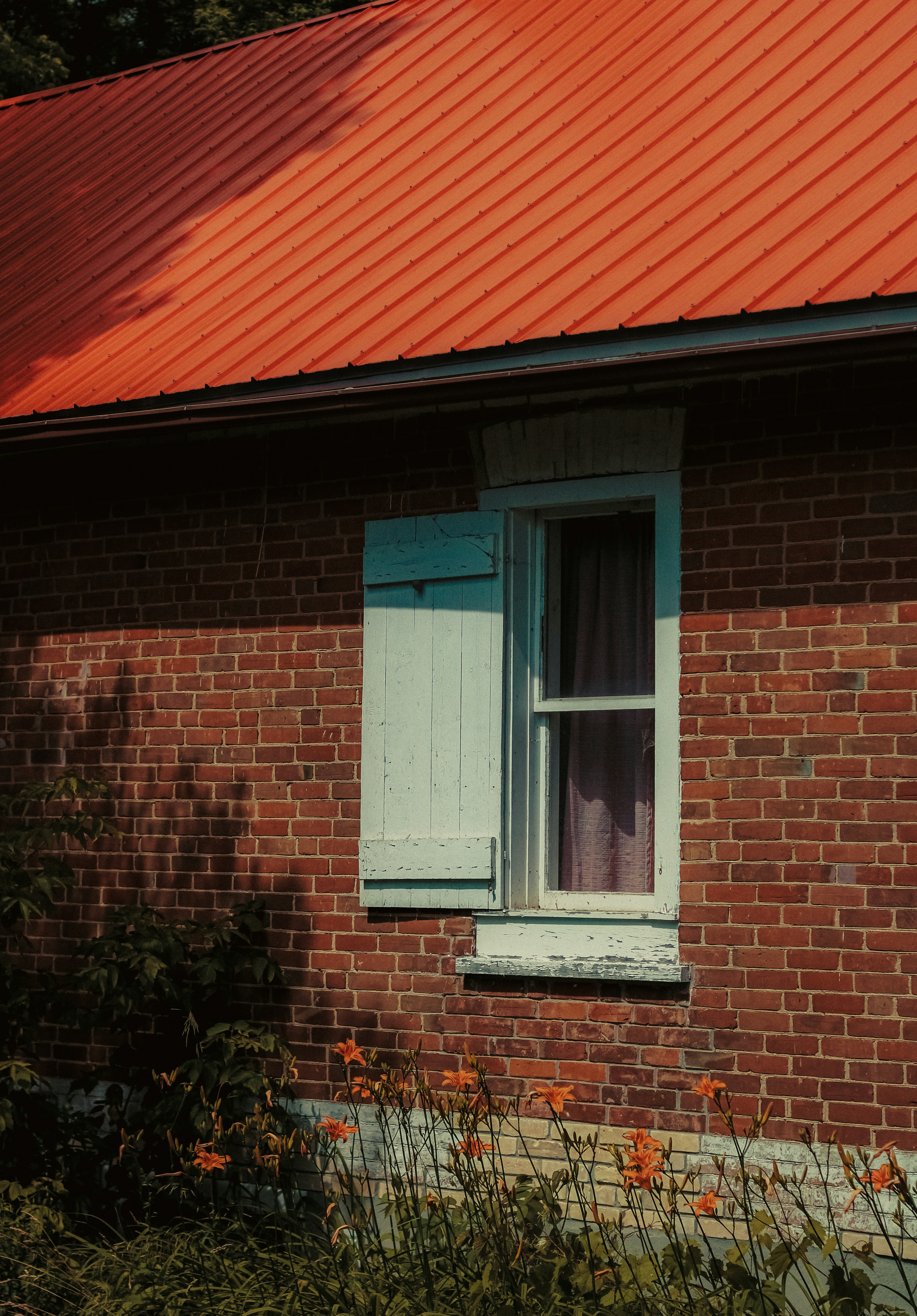 Photo by linusbelanger