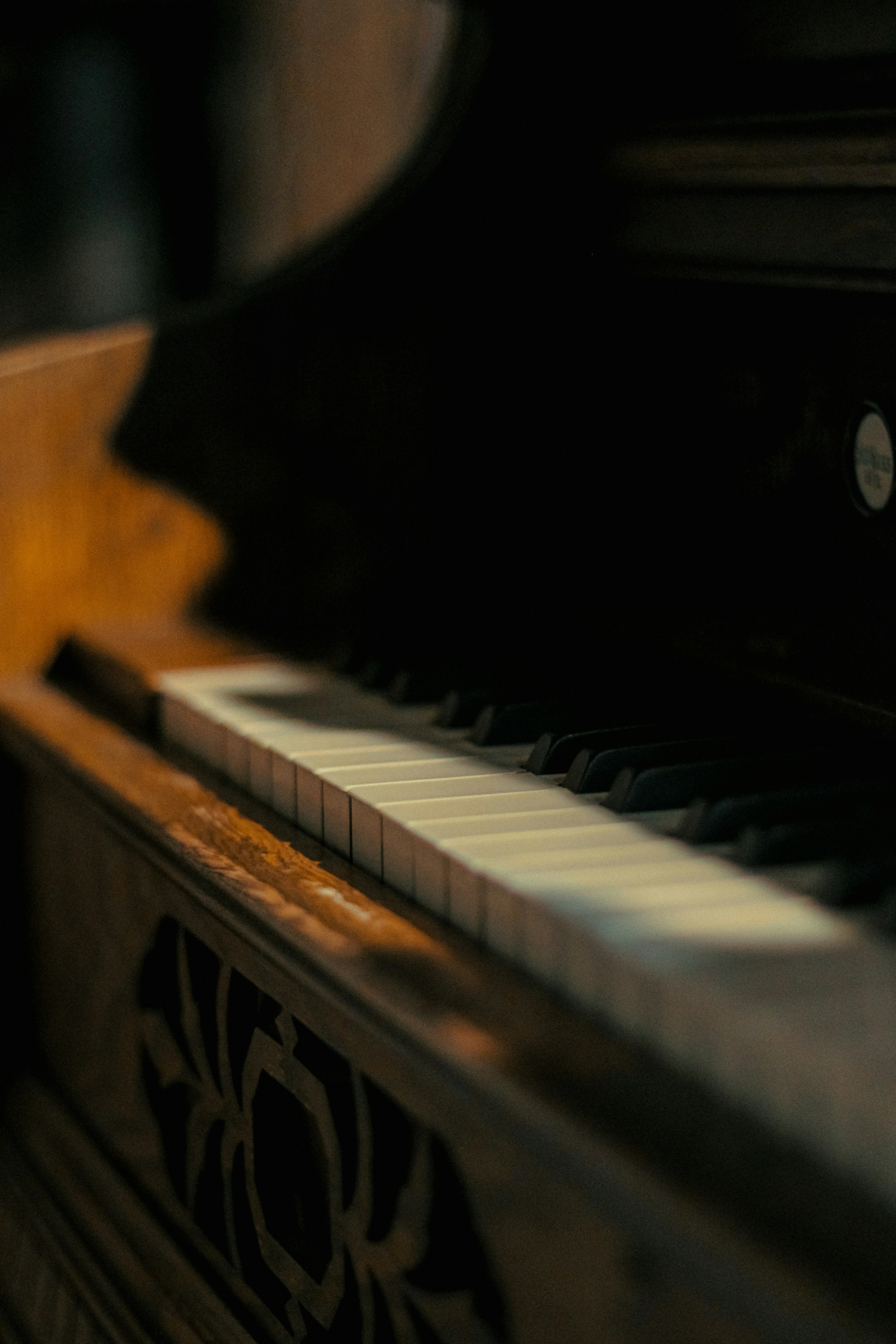 Photo by linusbelanger